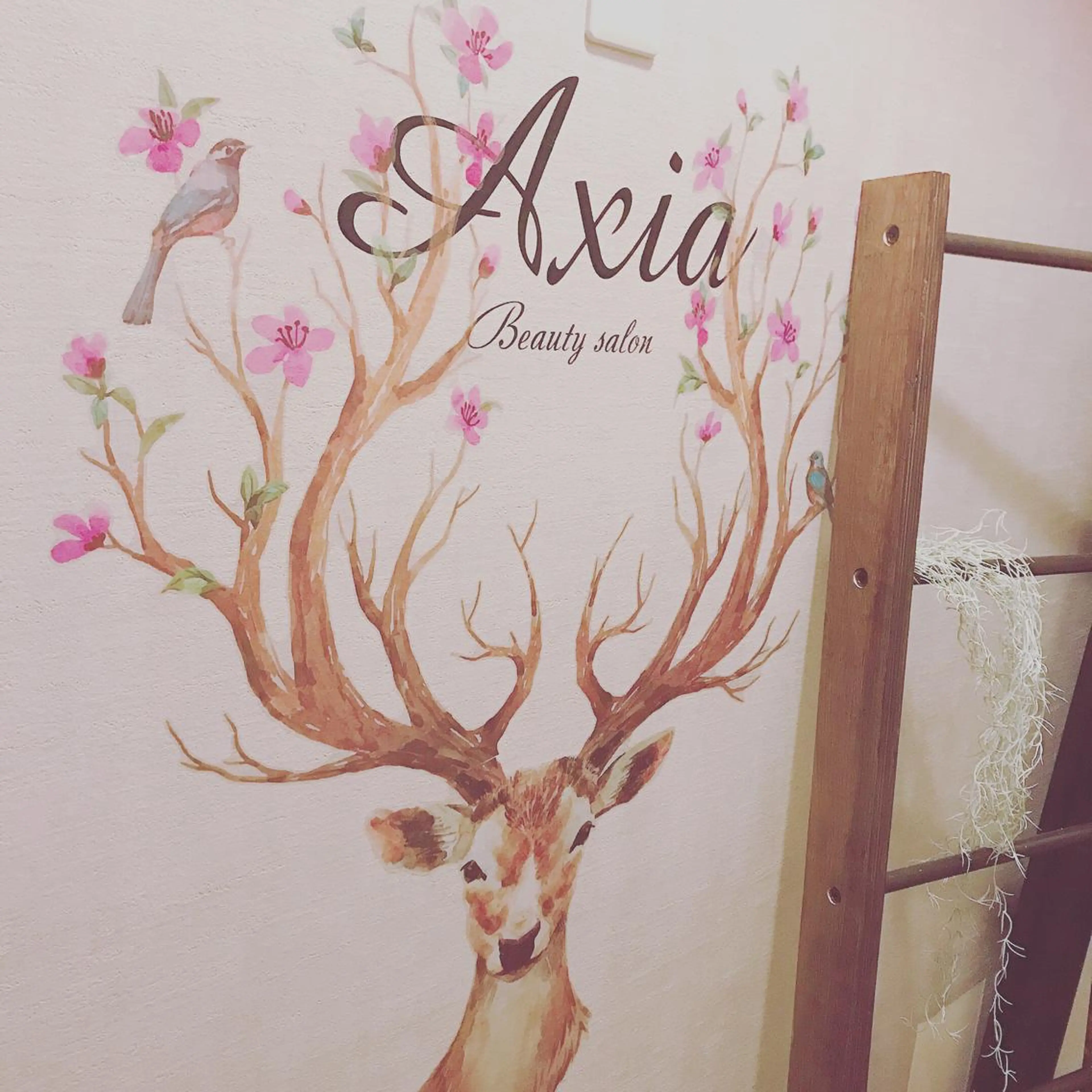 アクシア ビューティー サロン所属・究極のアンチエイ ジングサロンのエステ・リラクイメージ