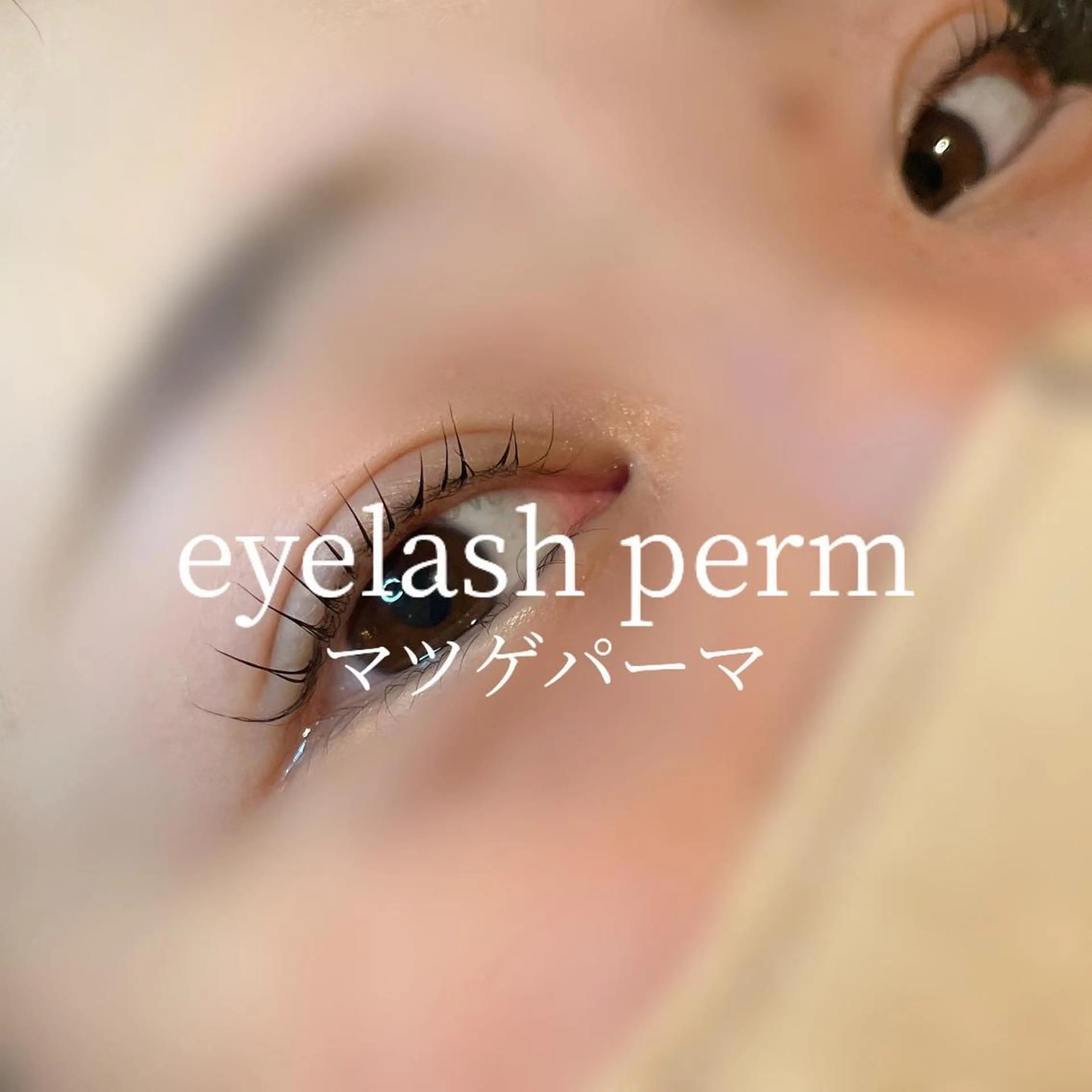 セミロング カラー ヘアアレンジ マツエク・マツパ セミロングパーマ 韓国風マツエク パリジェンヌラッシュリフト 一重×まつ毛パーマ 韓国風ヘア ブレス　セルバテラス泉店所属・🍓Rei naのマツエク・マツパデザイン