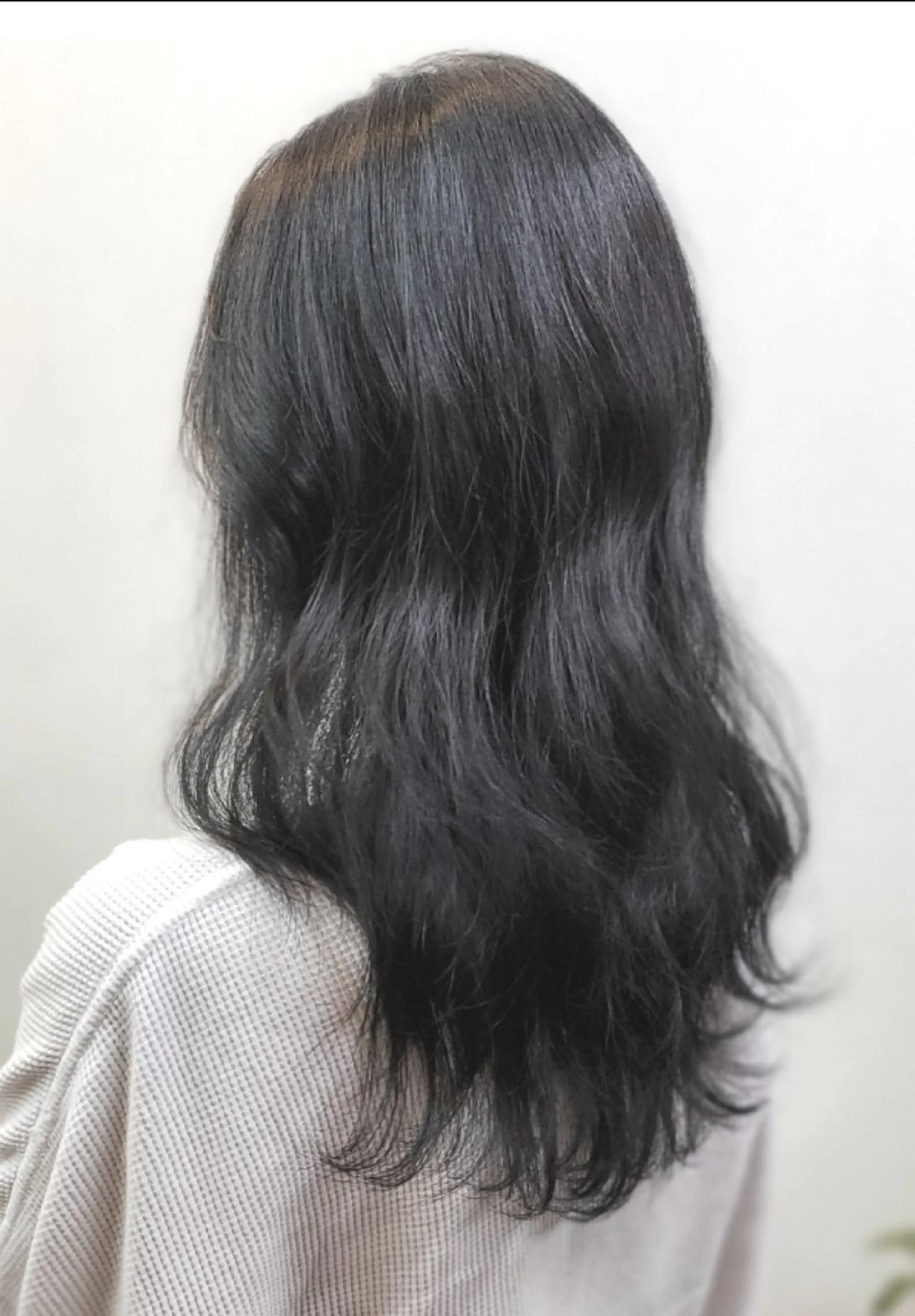 カラー セミロング O.hair designers所属・シールエクステ🎀 ホシノ🕒ユウカのヘアスタイル