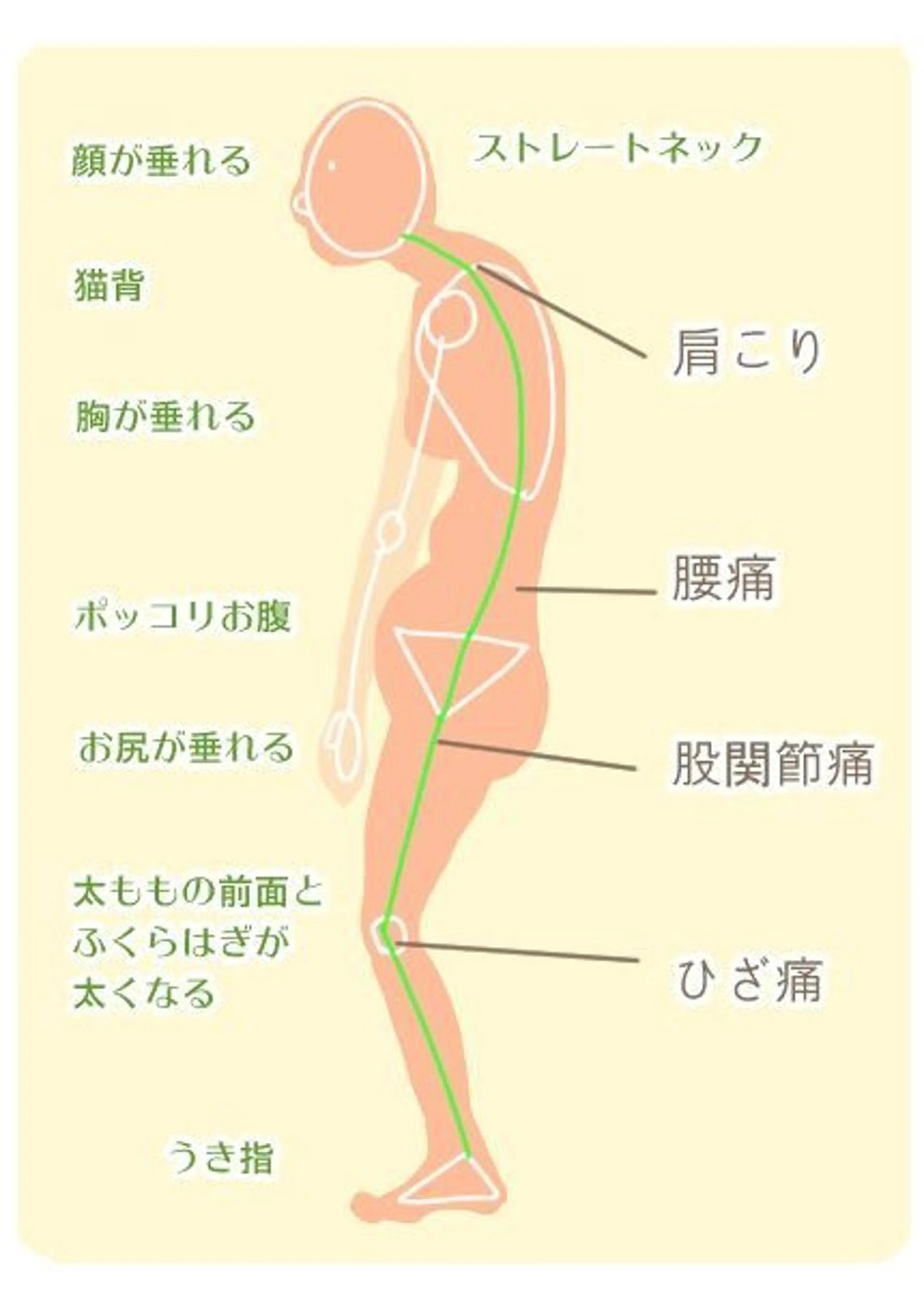連動整体(デコルテマッサージつき)の写真