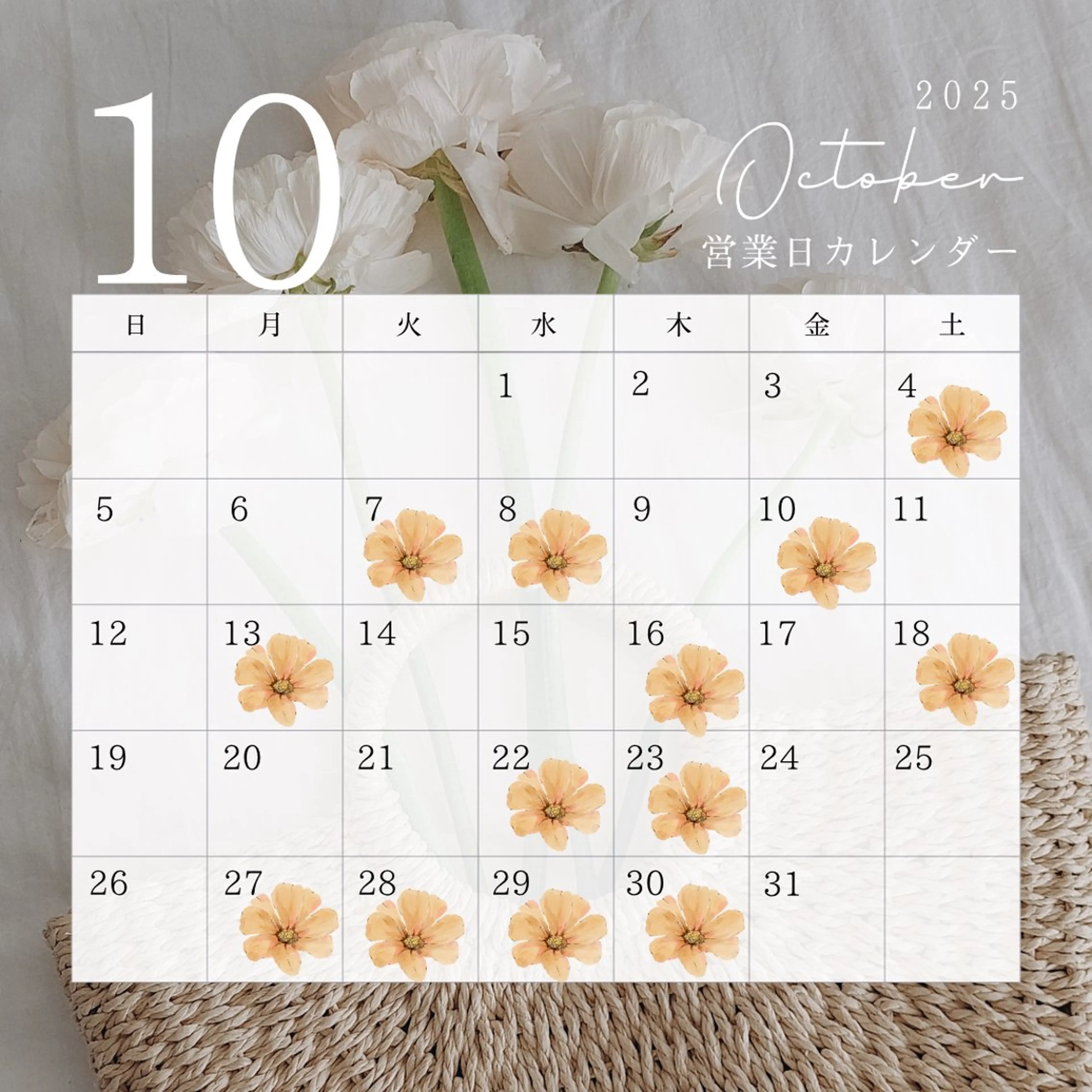 マツエク・マツパ Tani seikaのマツエク・マツパデザイン