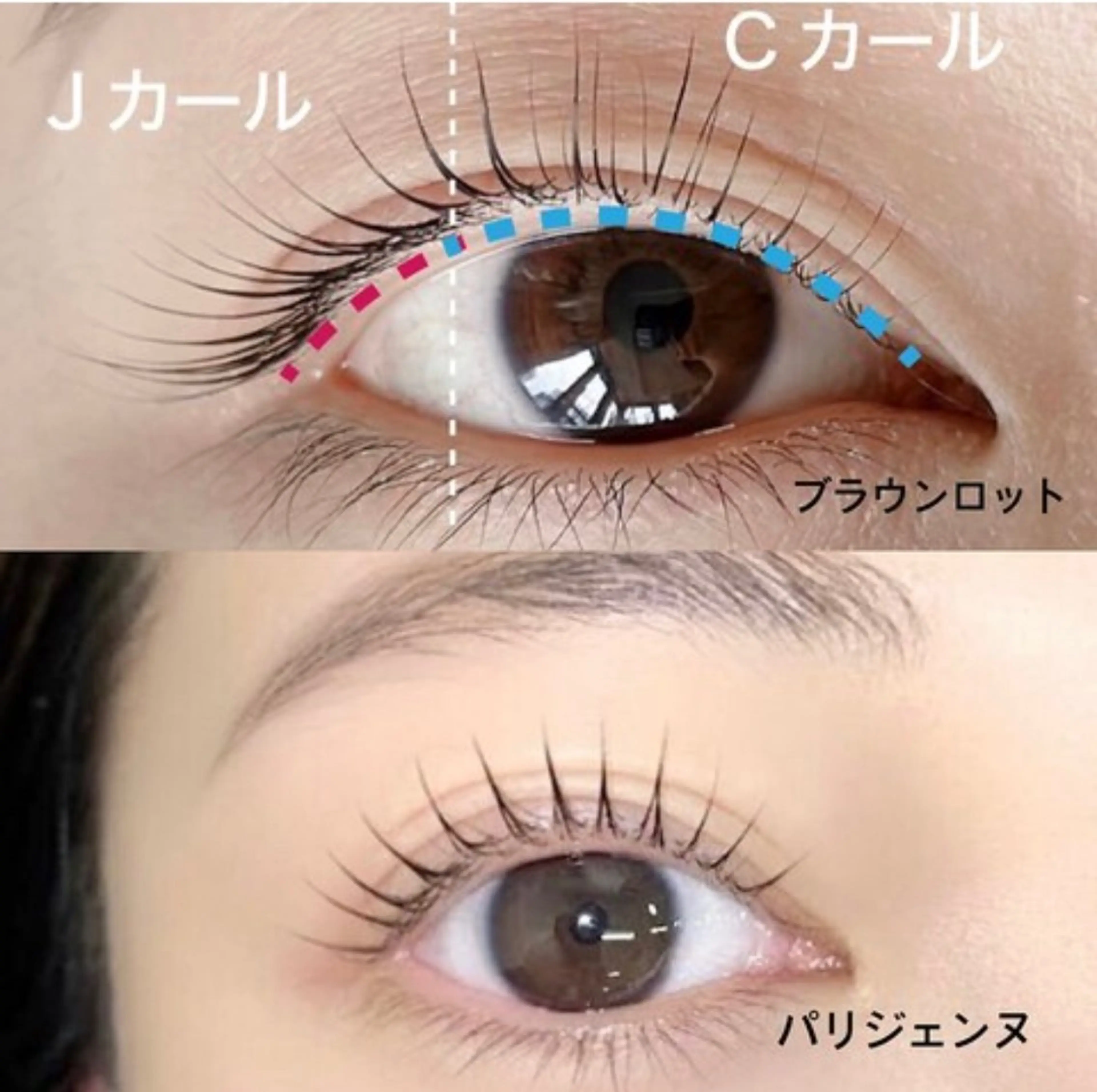 ご新規様限定❣️パリジェンヌor2種から選べる〈高濃度ケラチントリートメント＋500円、束感コーティング+350円〉の写真