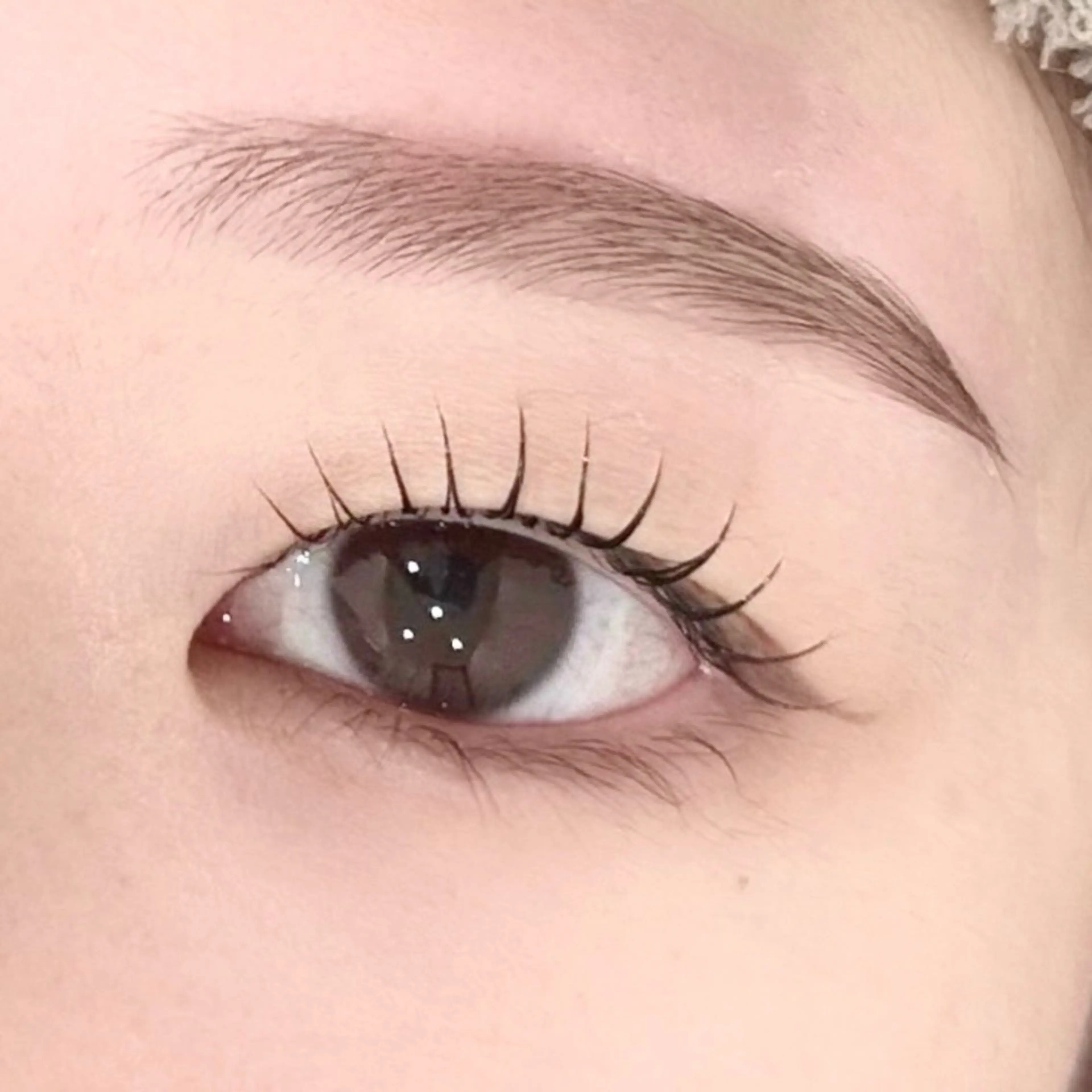 眉毛WAX（間引き・カット）&まつ毛パーマ（パリジェンヌ）🩷¥6000の写真