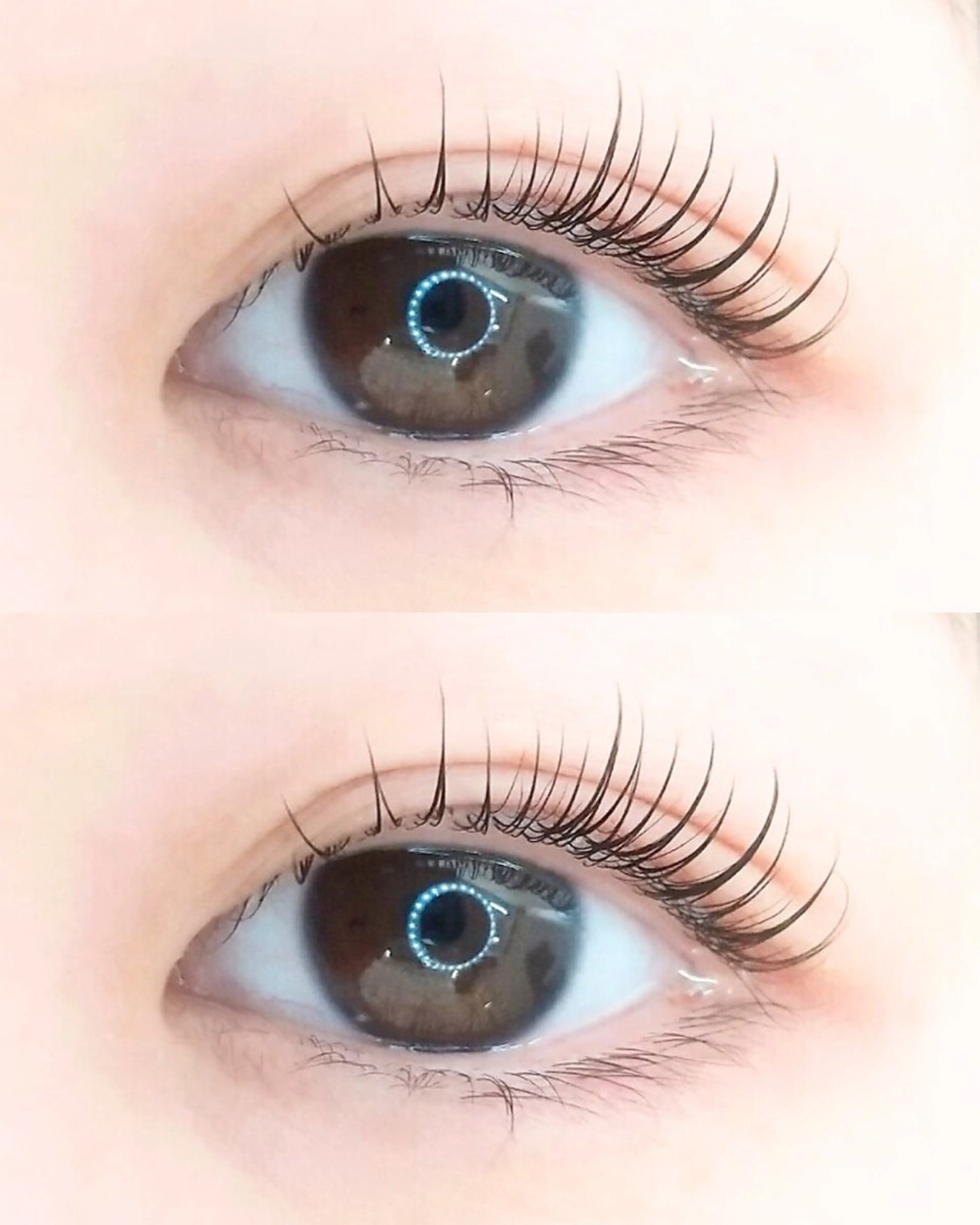 マツエク・マツパ まつげパーマ マツパ Daysyou eyelashのマツエク・マツパデザイン