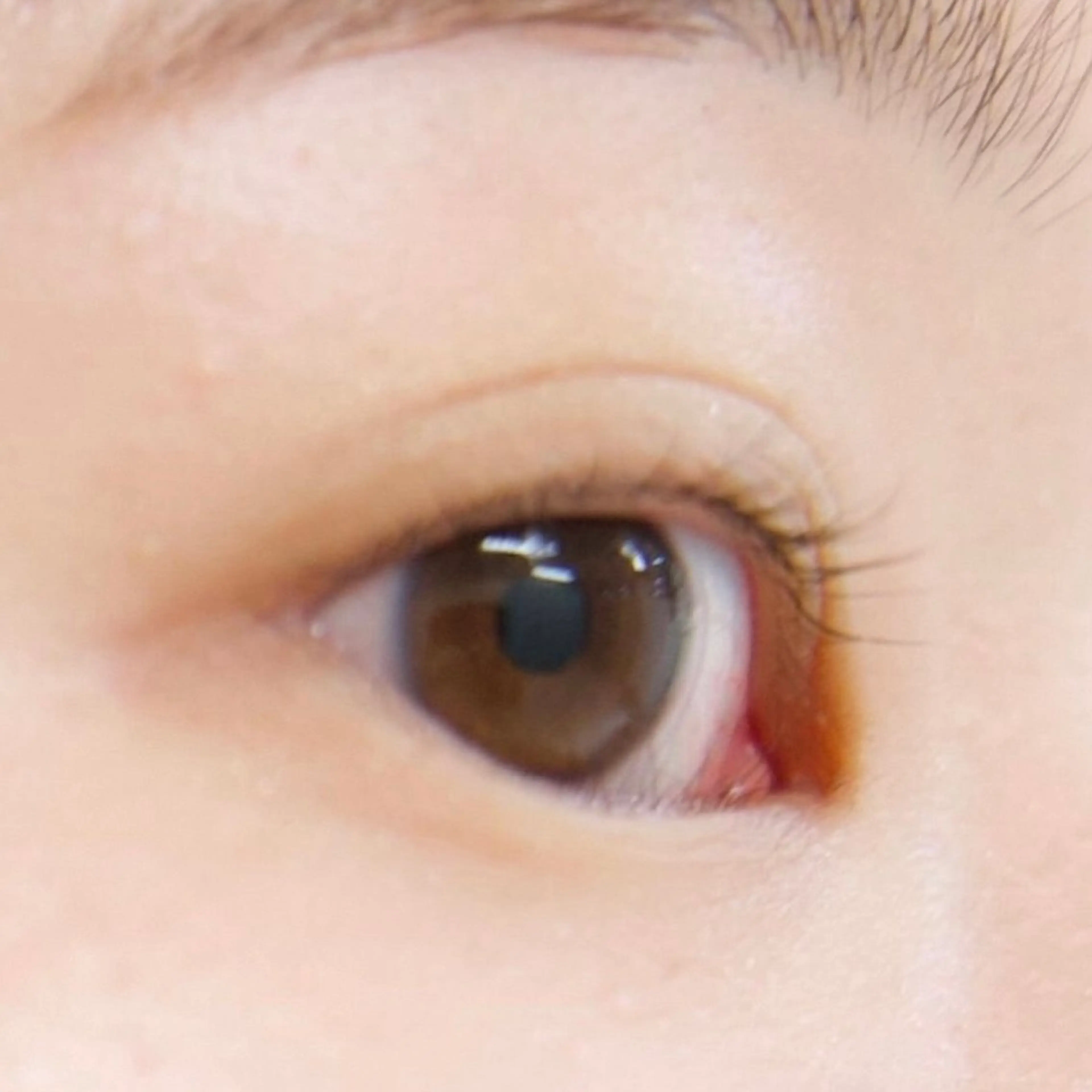 他店オフ+アイシャンプー+ケラチンTR付 (LEDラッシュ+300円)の写真