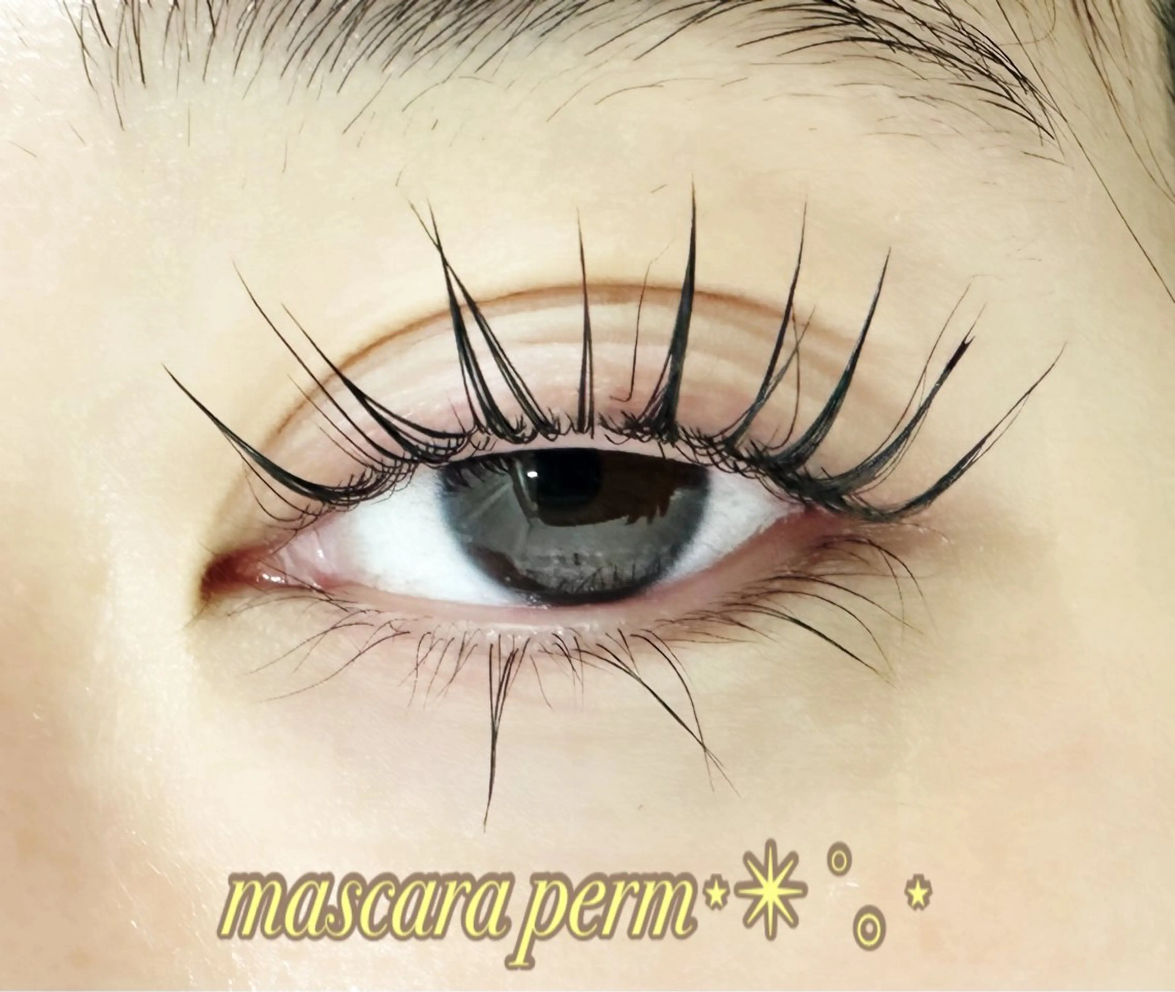 ‎⋆✴︎˚｡⋆マスカラパーマ‎⋆✴︎˚｡⋆ 《アイシャンプー付き》 パリジェンヌ変更+1000円の写真