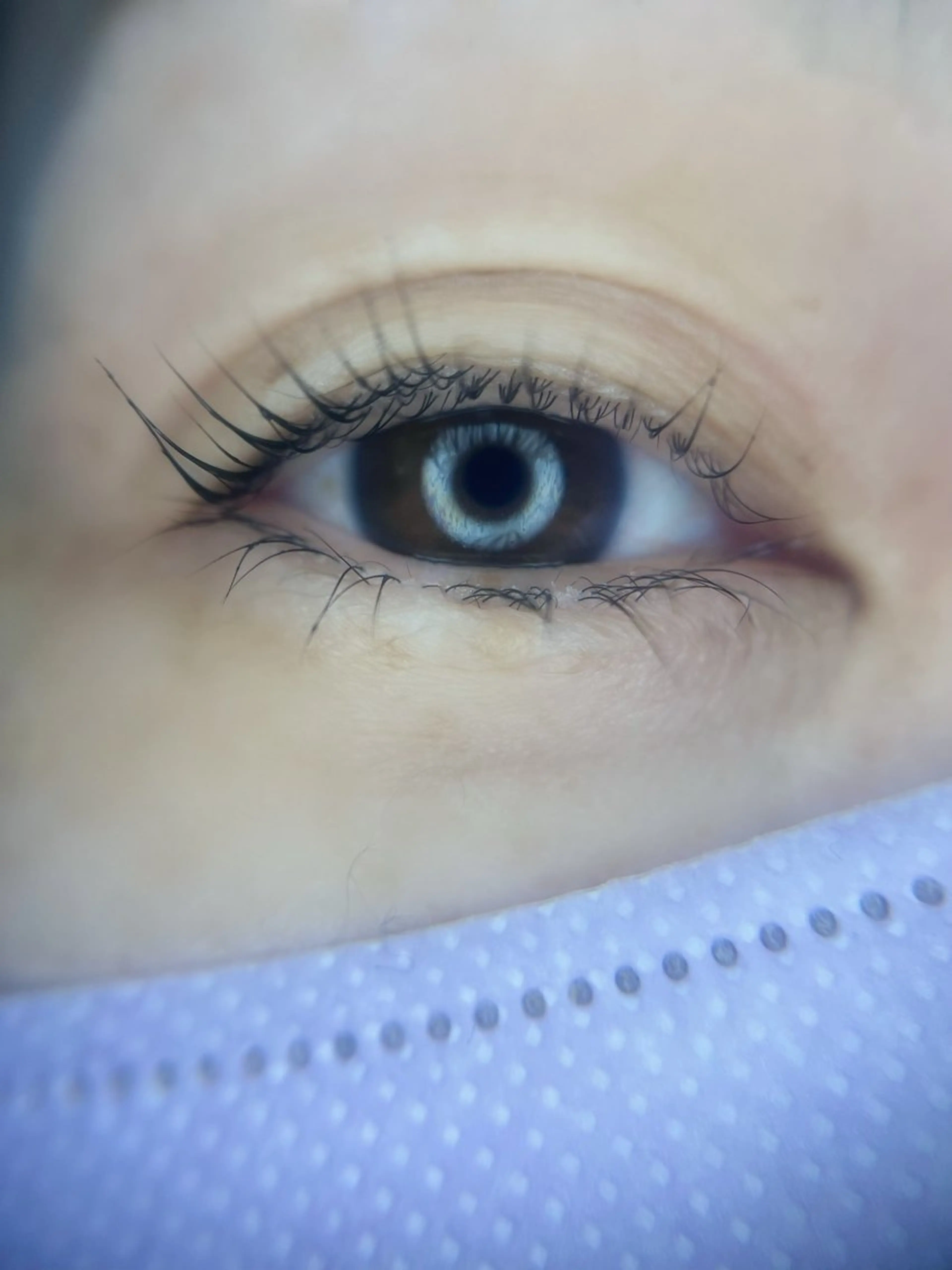 マツエク・マツパ 目黒　フリヴィ 🤎HIROMIのマツエク・マツパデザイン