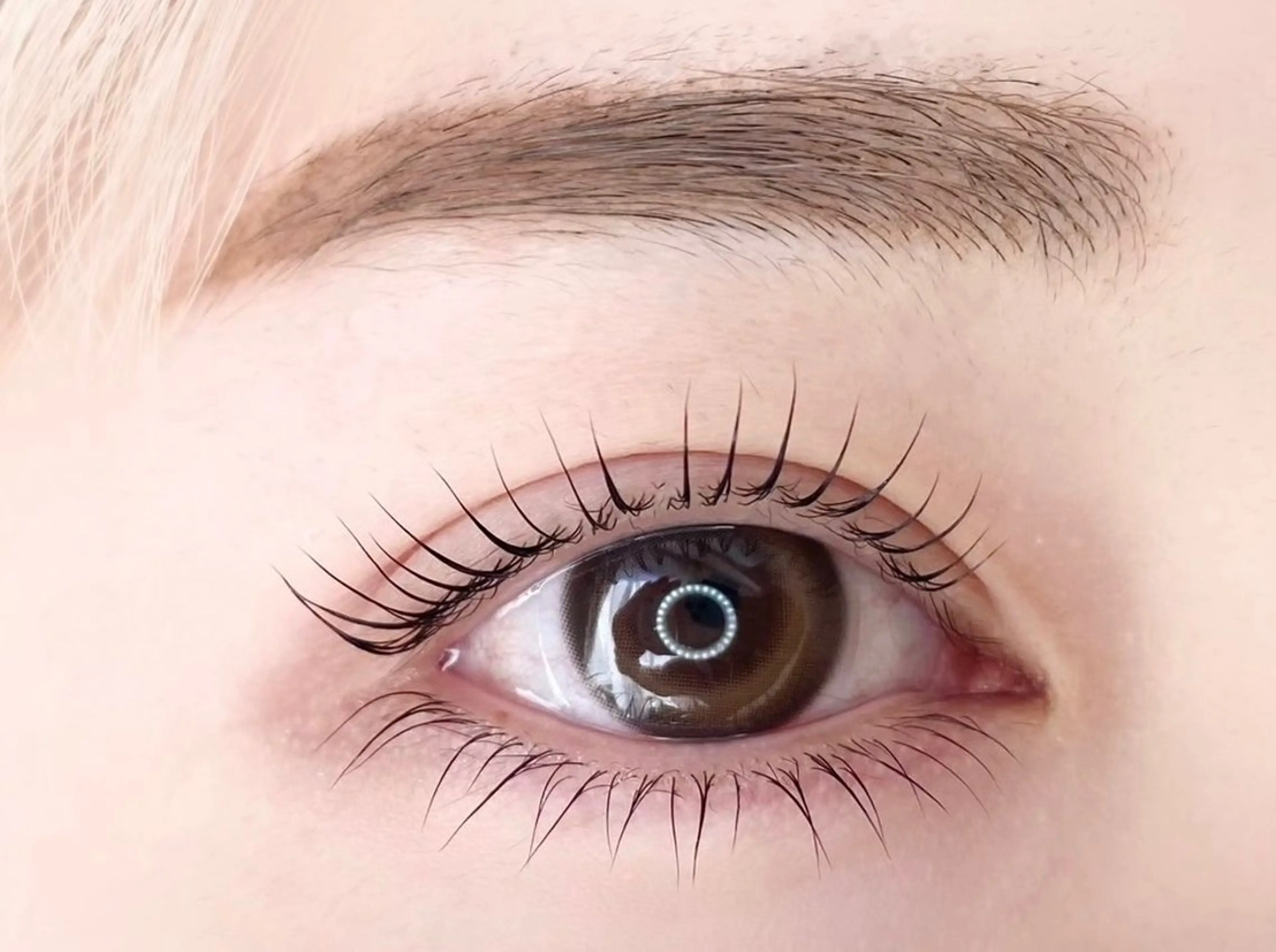 【ミニモ限定】都度リピーター様！束感パリジェンヌラッシュリフト(パーマ)上のみ4900円♡の写真