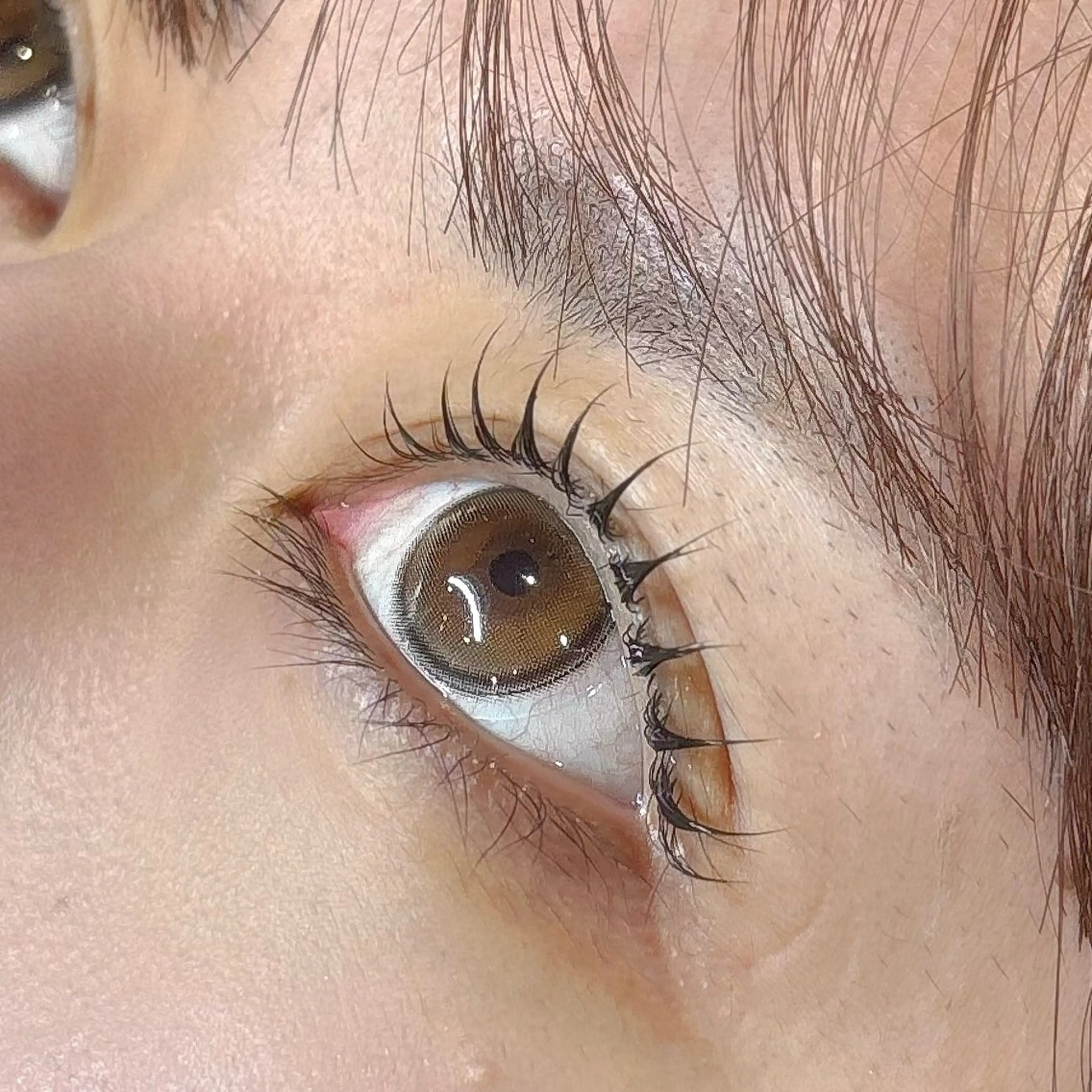 マツエク・マツパ sofa / Akari🏠のマツエク・マツパデザイン