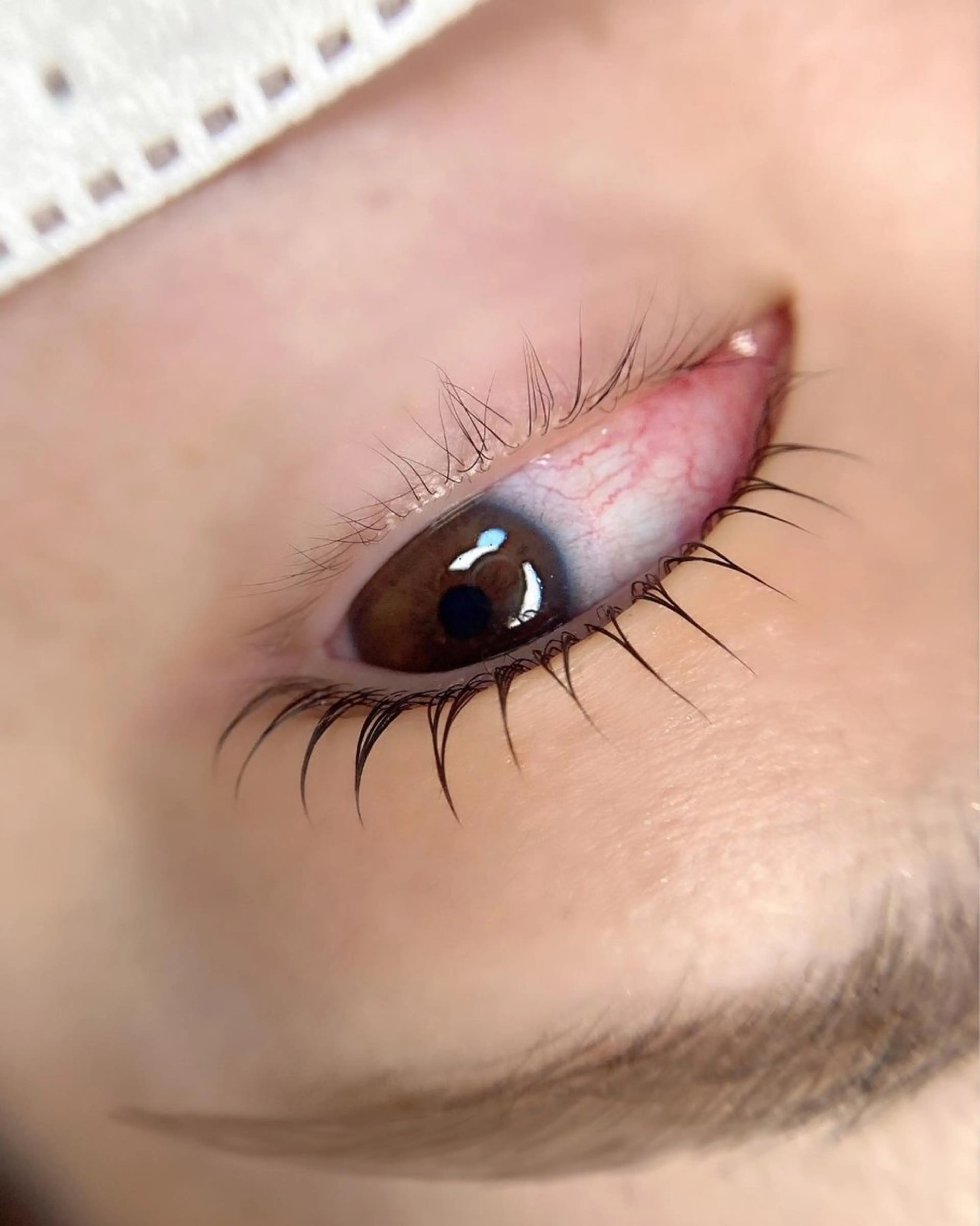 マツエク・マツパ マツパ Ohata Megumiの眉毛・アイブロウイメージ