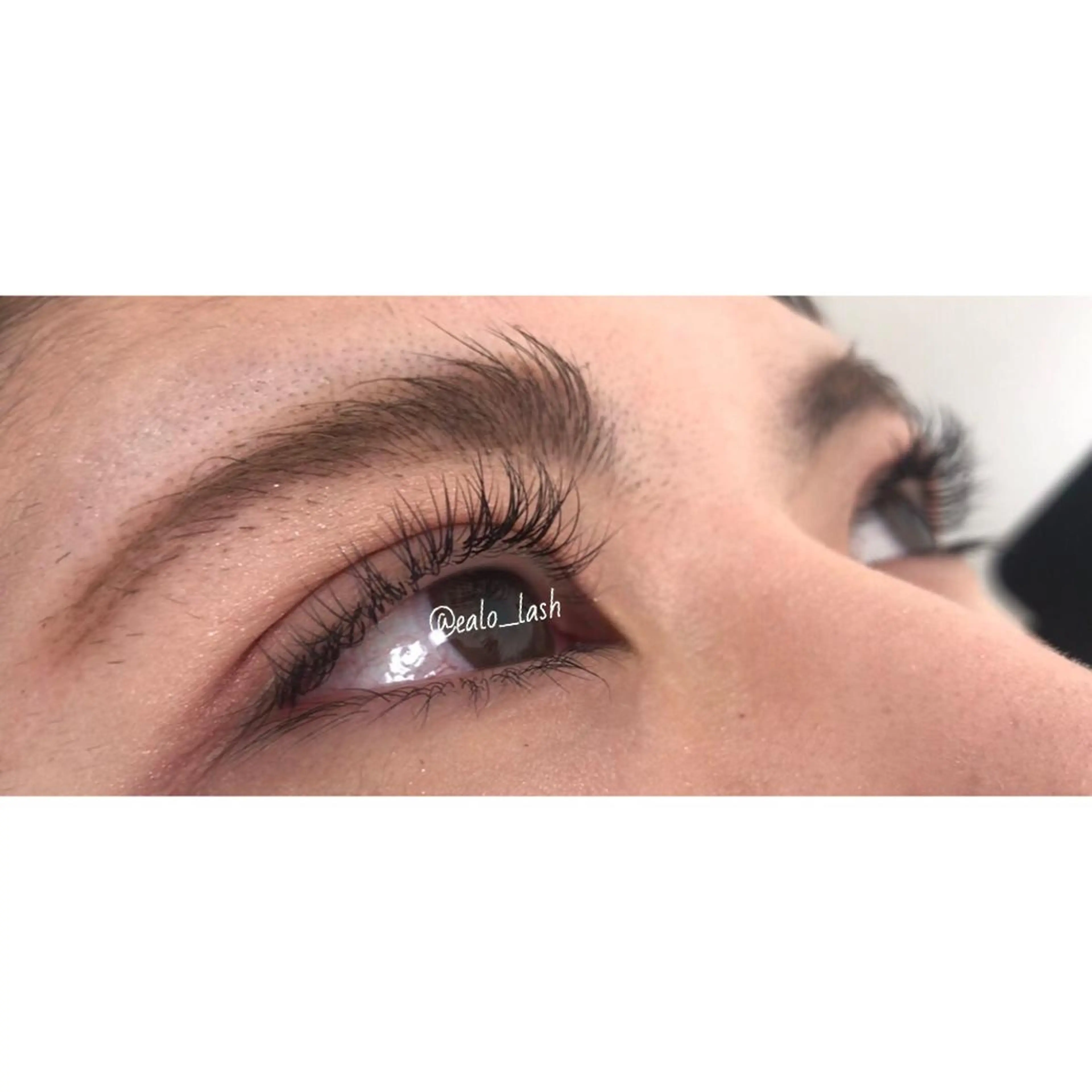 《新規》最高級セーブル140本の写真