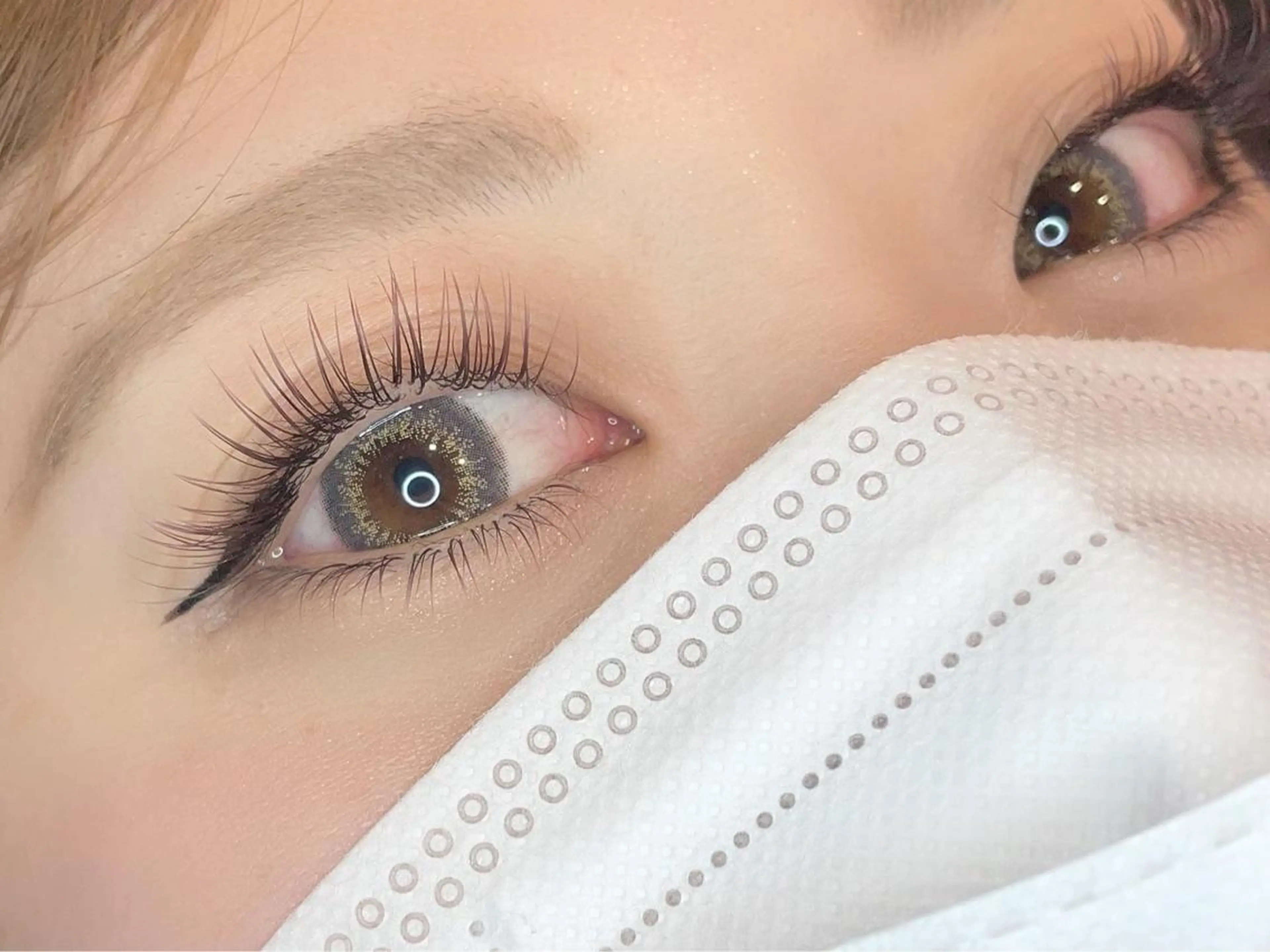 🦋アップワードラッシュ100~140本🦋(別途料金で毛質変更🙆🏻‍♀️)の写真