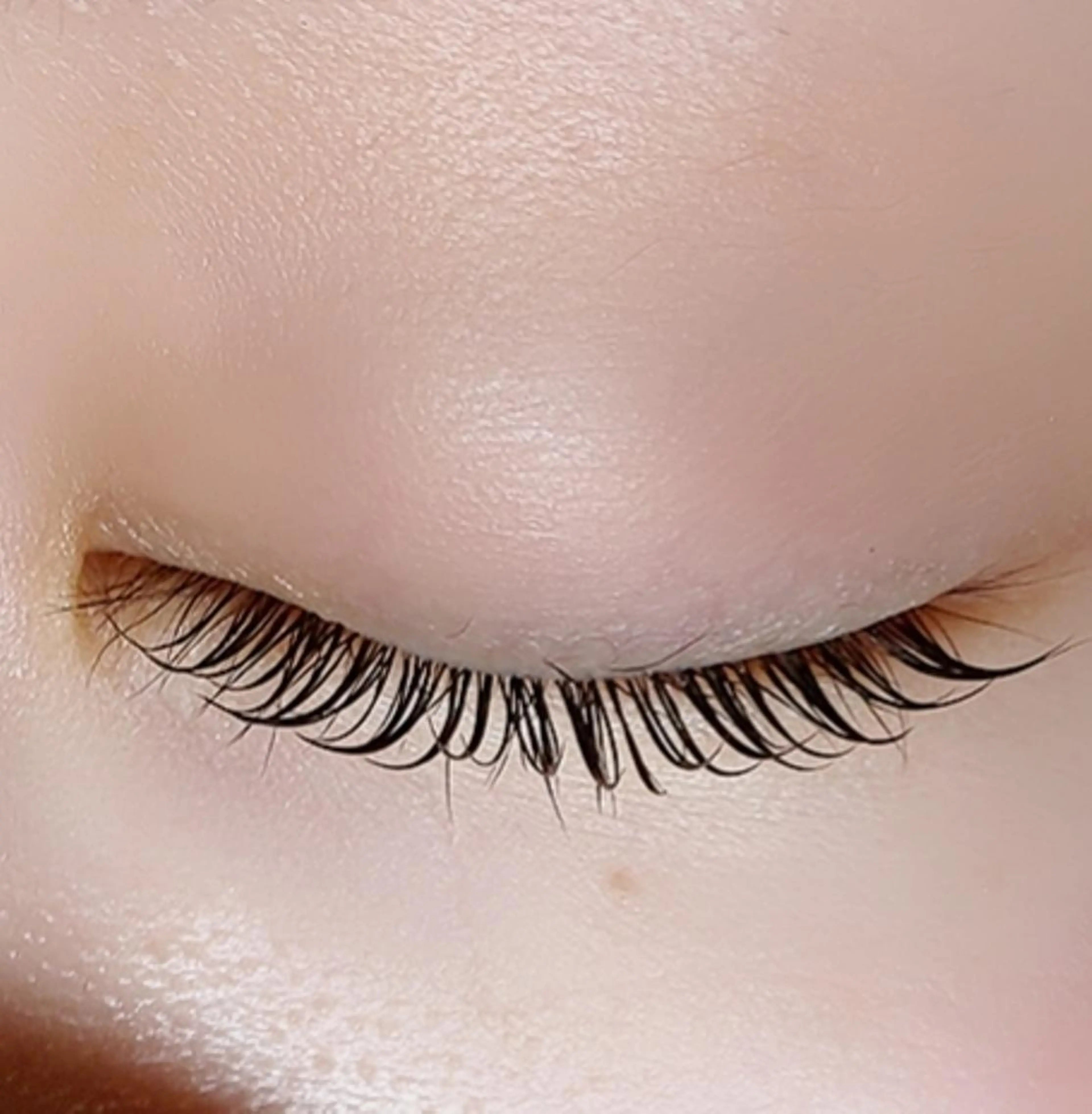 マツエク・マツパ sHeeR【シアー】 ハマナカのマツエク・マツパデザイン