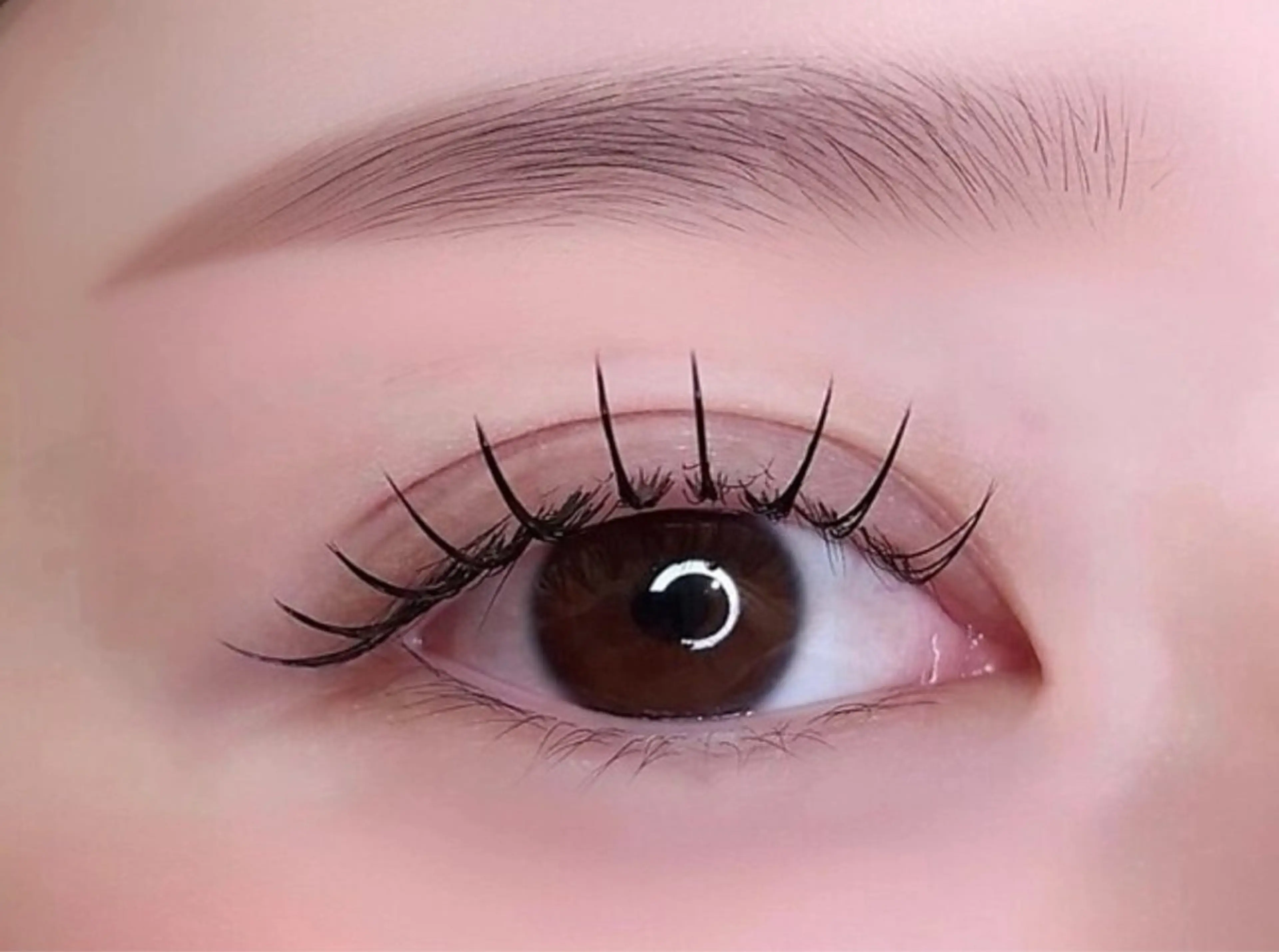 🎀まつげパーマ無料モデル🎀まつげパーマ/パリジェンヌラッシュリフト♡の写真