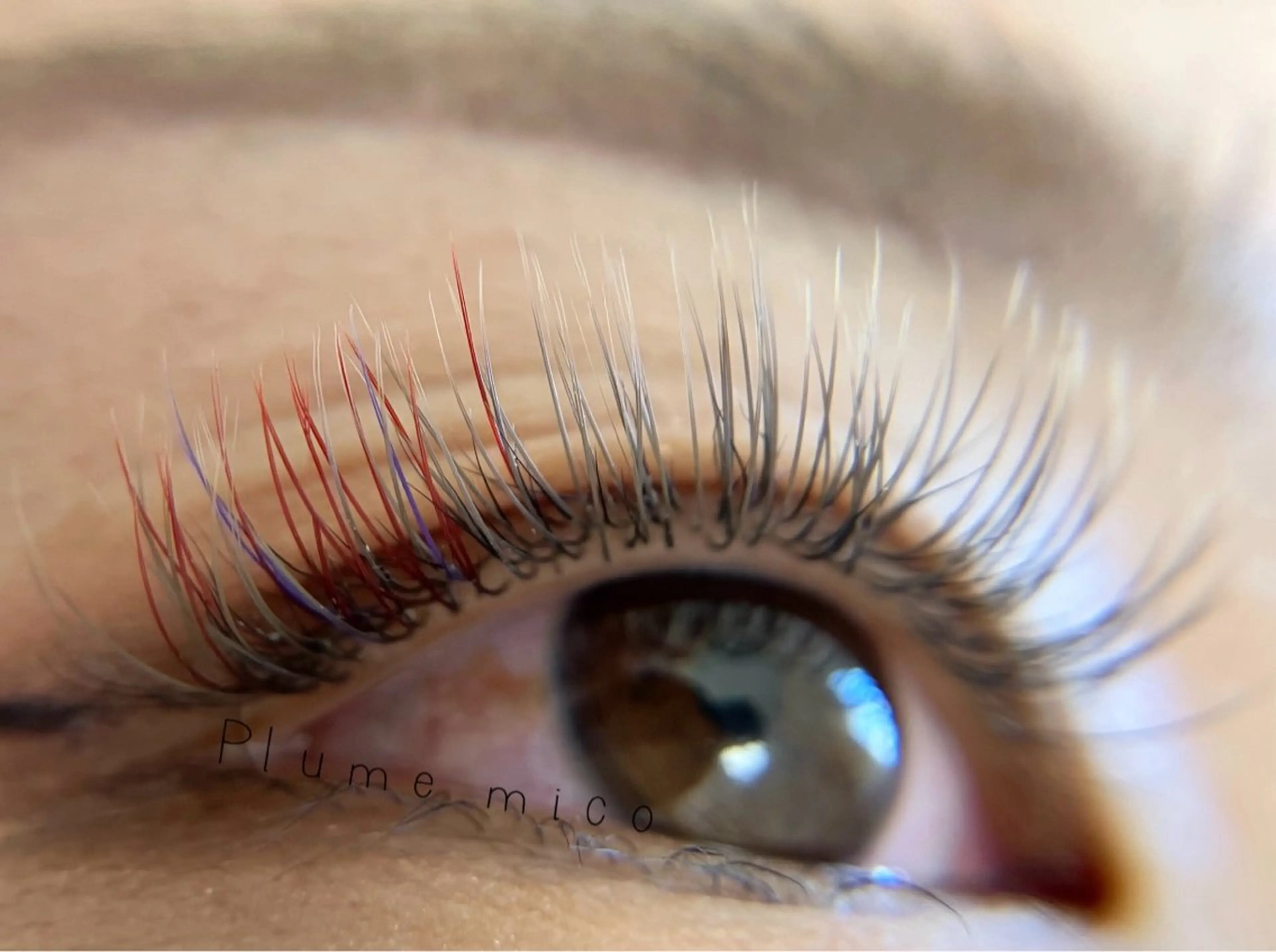 マツエク・マツパ フラットラッシュ マツエク Plume micoのマツエク・マツパデザイン
