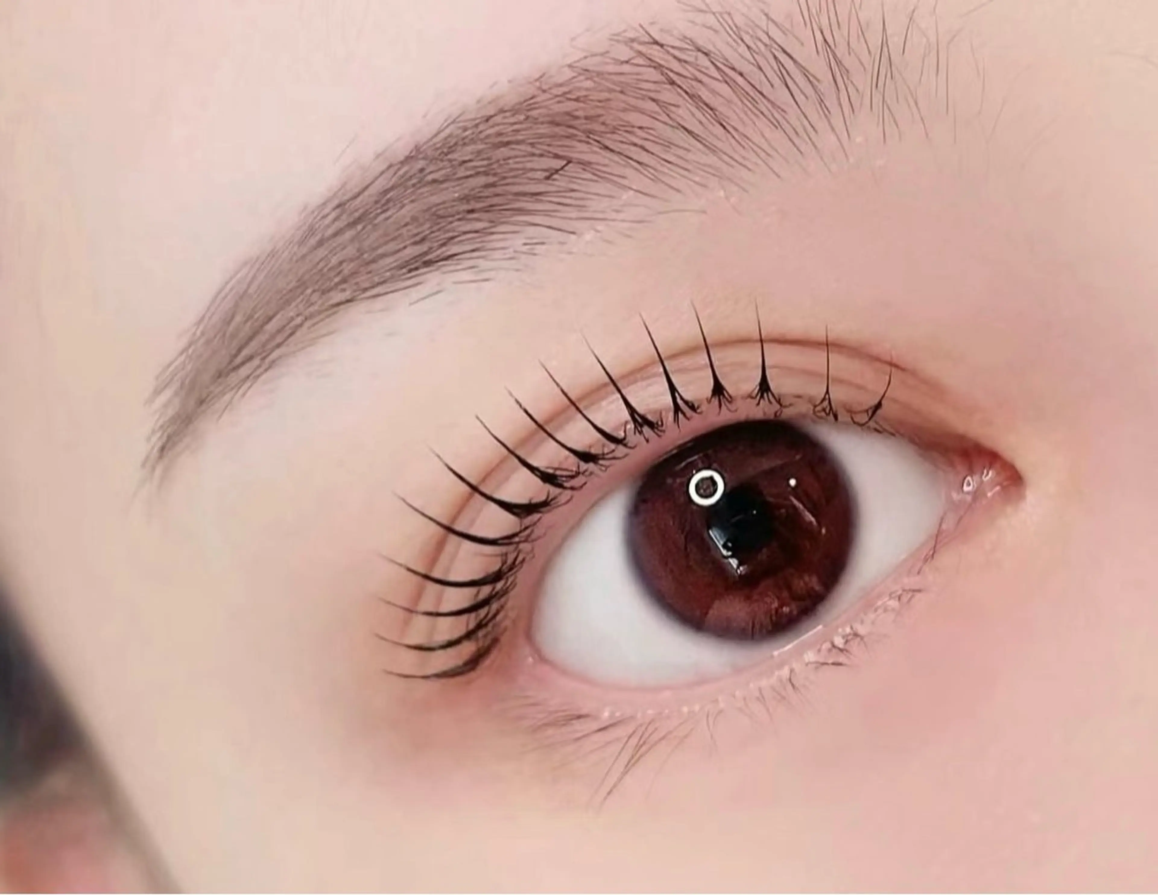 マツエク・マツパ パリジェンヌラッシュリフト マツパ あや🥑 チルザルトサロンのマツエク・マツパデザイン