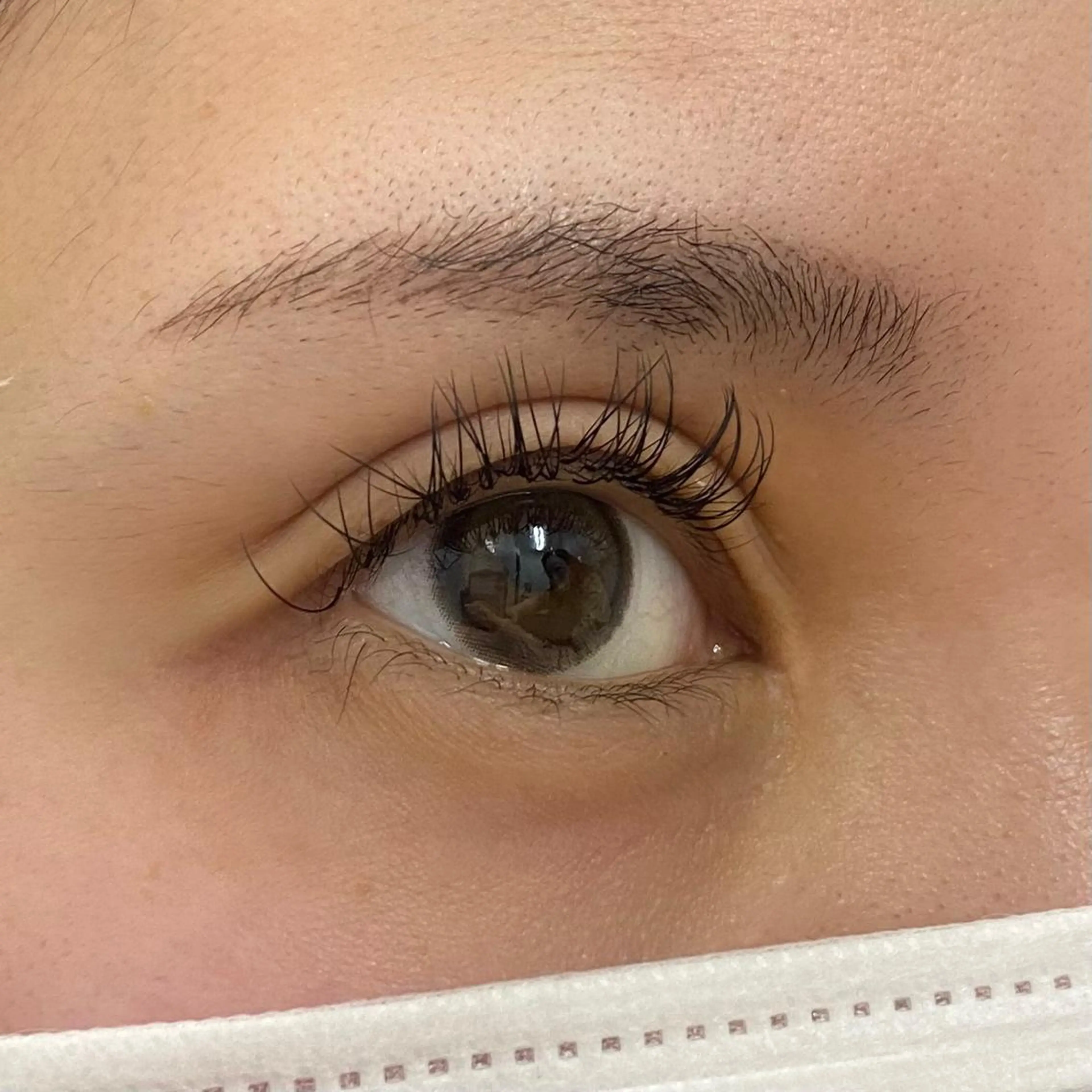 マツエク・マツパ Dカール Miyu🦄ash メンズカット/まつげのヘアスタイル