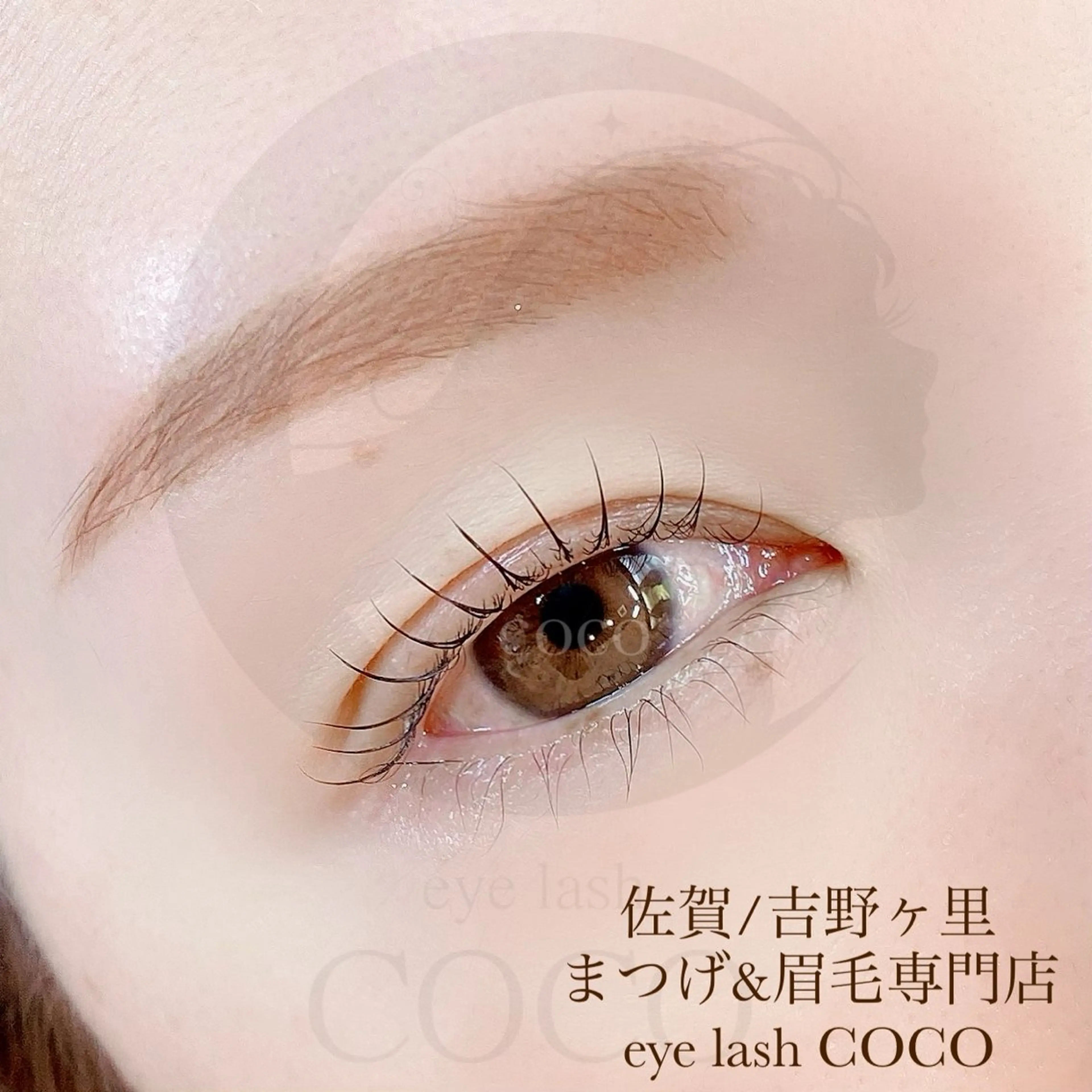 上まつげパーマ＋眉スタイリング同時施術　6/4​〜​7/11期間限定⭐︎の写真