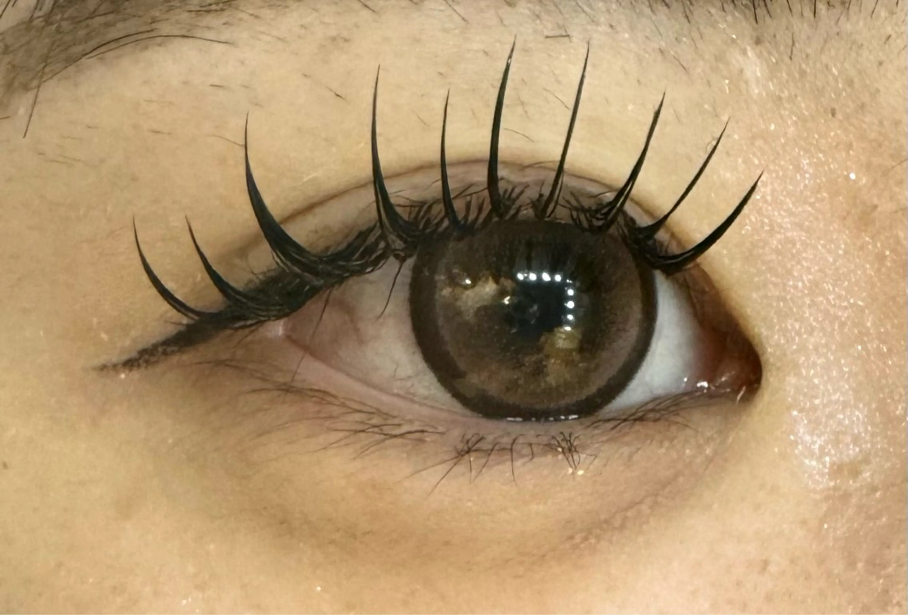 マツエク・マツパ フラットラッシュ Salon  de EMMA+高橋のマツエク・マツパデザイン