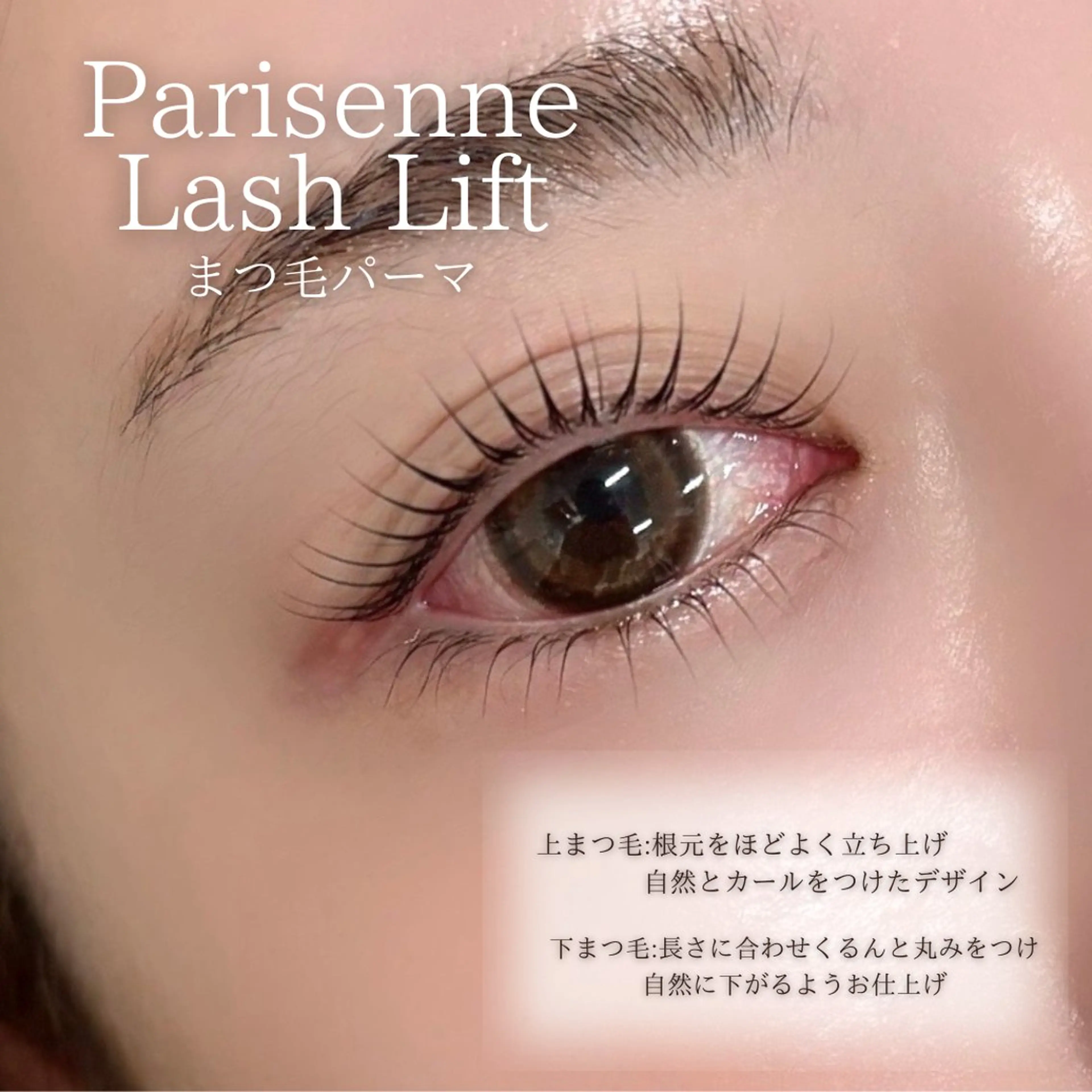 【12月限定 一日先着2名限定】中顔面短縮◎上下まつ毛パーマ(パリジェンヌ変更可)の写真