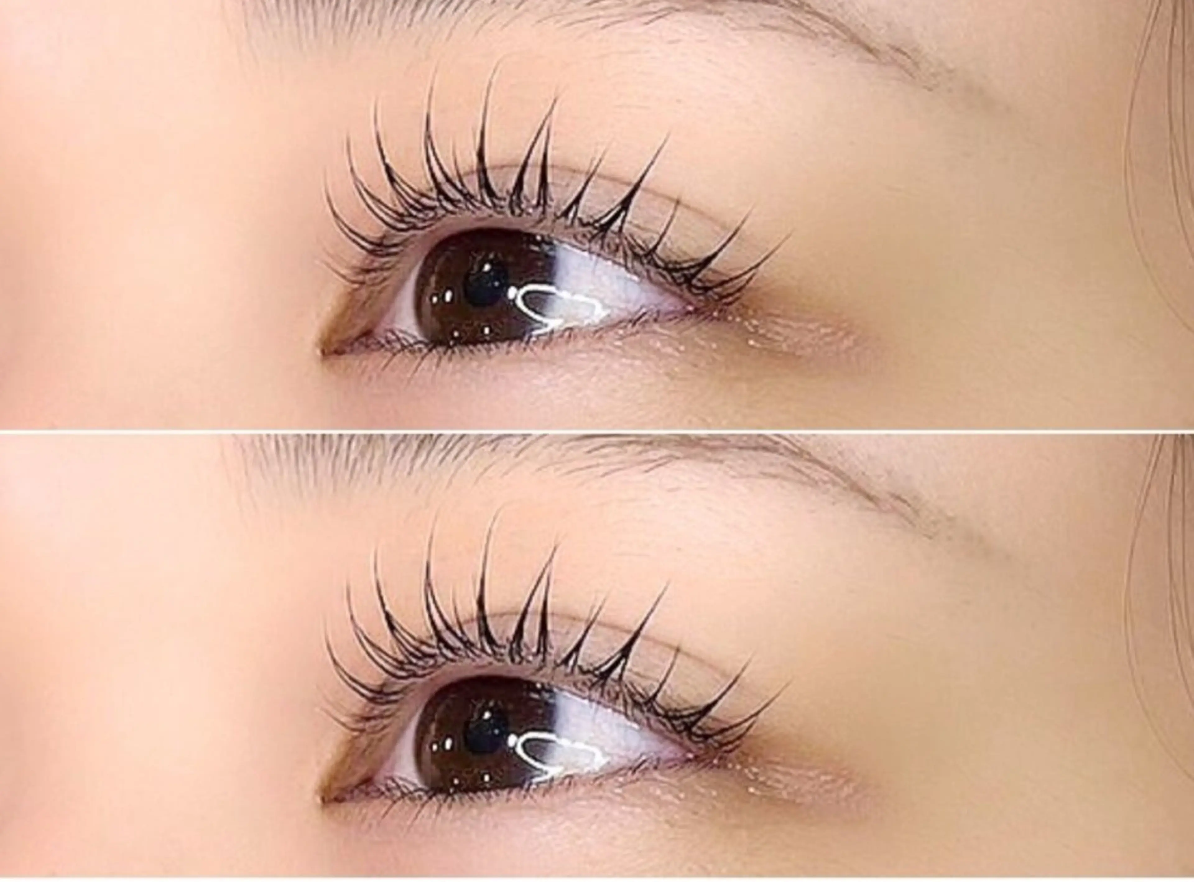 2回目専用クーポン♪似合わせまつ毛パーマ👀💫【メーテル/束感韓国風】🍯🤍の写真