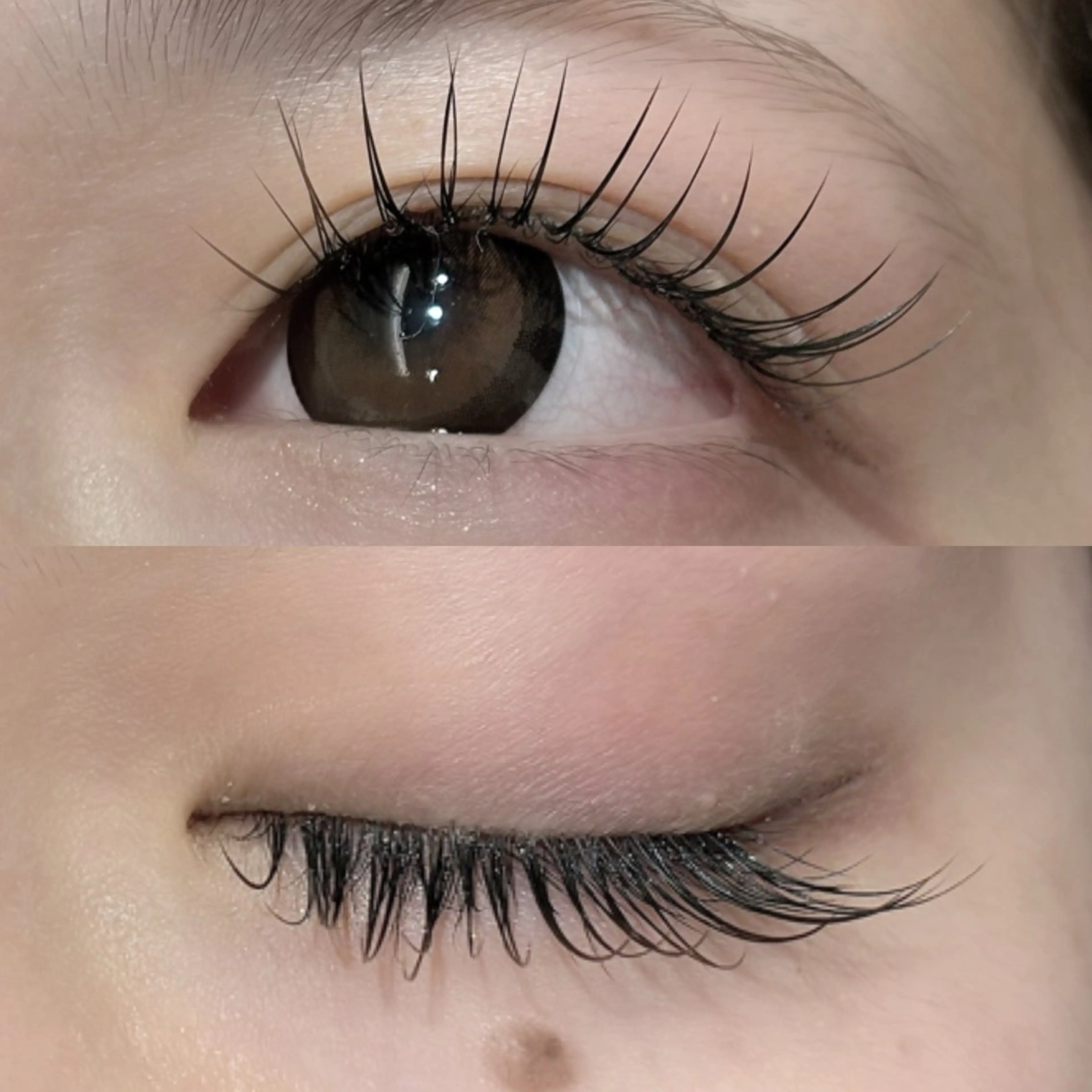 マツエク・マツパ CCカール Cカール セーブル Dolly Lash 松本のマツエク・マツパデザイン