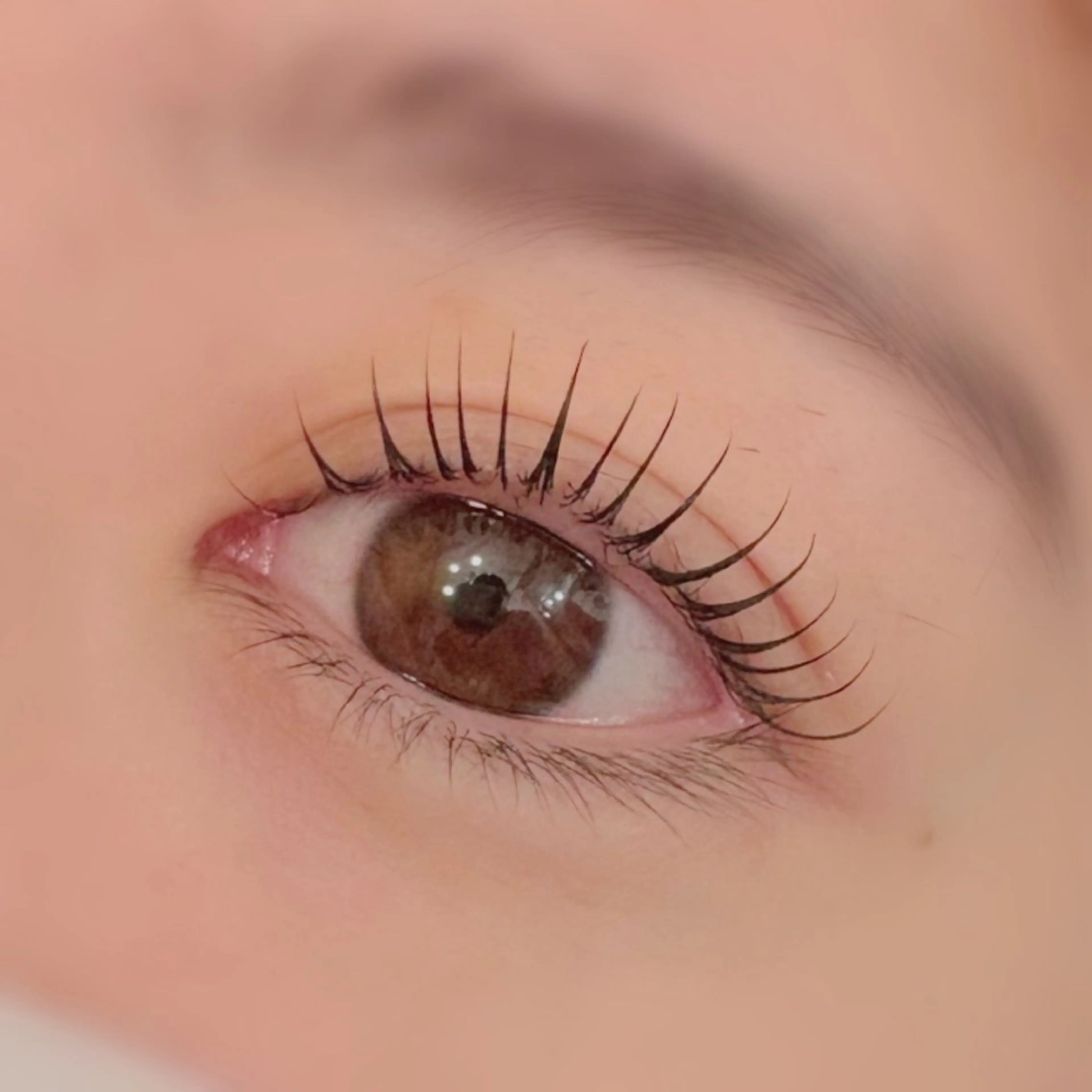 マツエク・マツパ eyelash salon winkerbell所属・Winkerbell 野口のマツエク・マツパデザイン