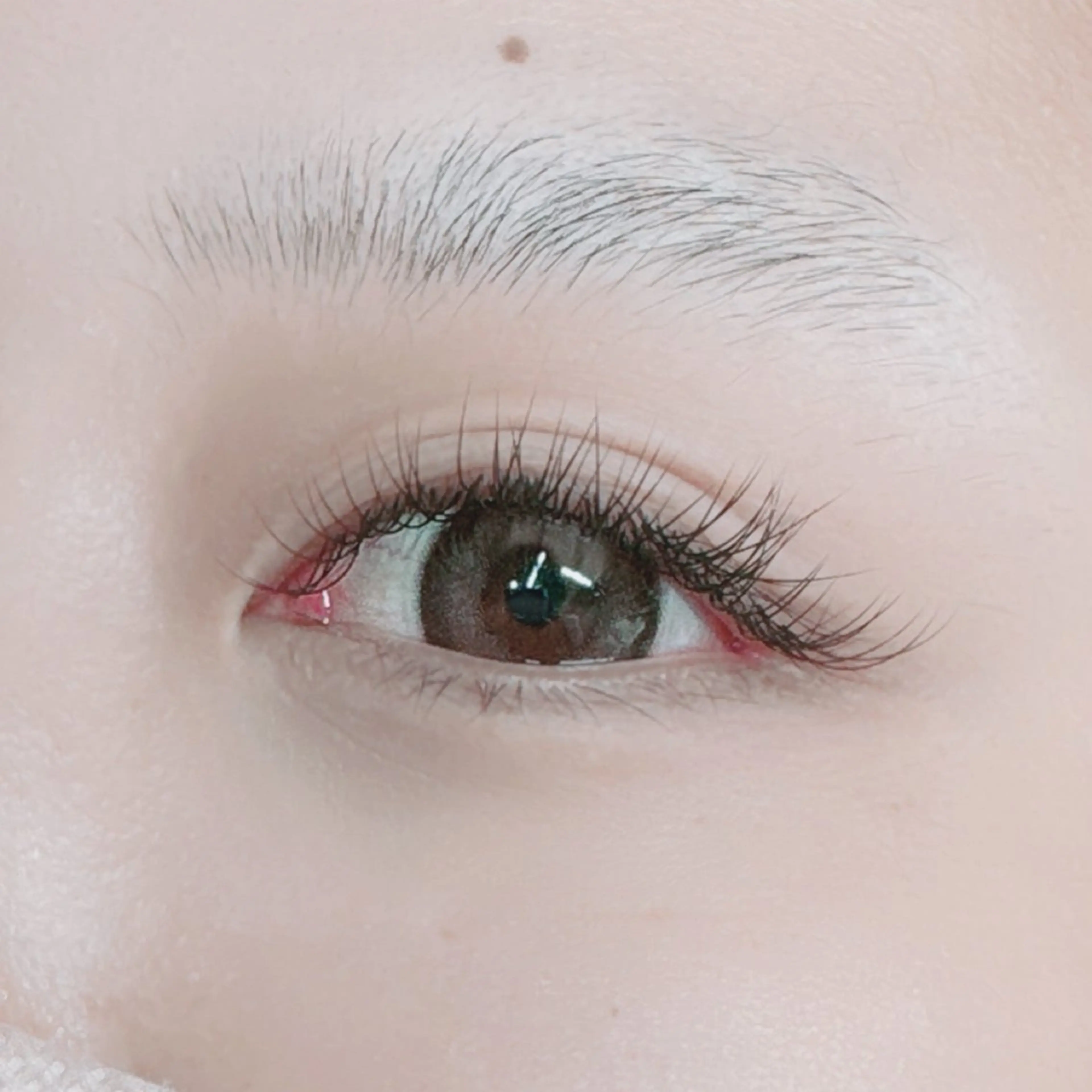 マツエク・マツパ MAQUIA志木店所属・MAQUIA志木店 太田のその他イメージ