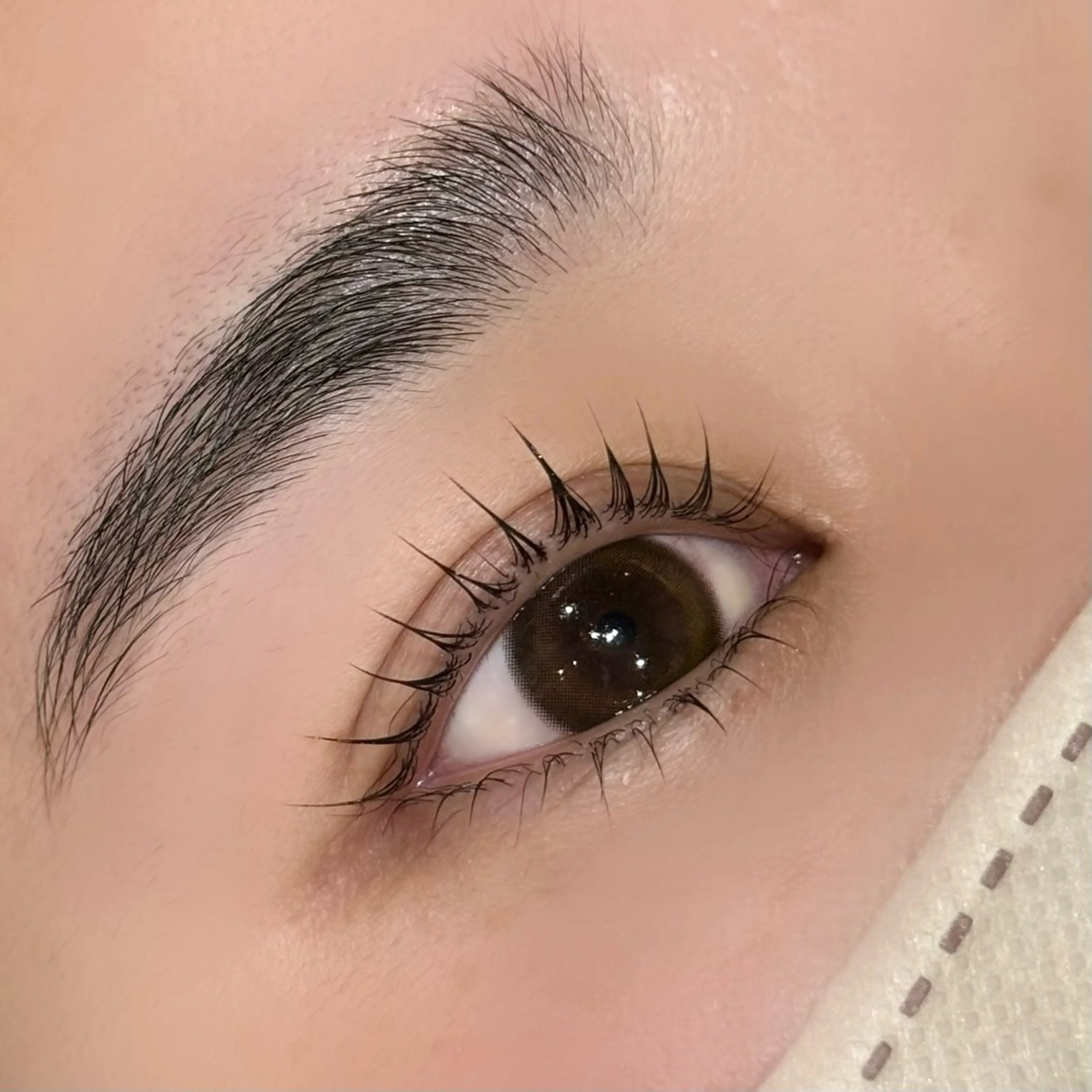 上下まつ毛パーマ🖤ブラックティント付き🖤韓国風束感仕上げ🇰🇷 ⸝⋆⸝⋆の写真