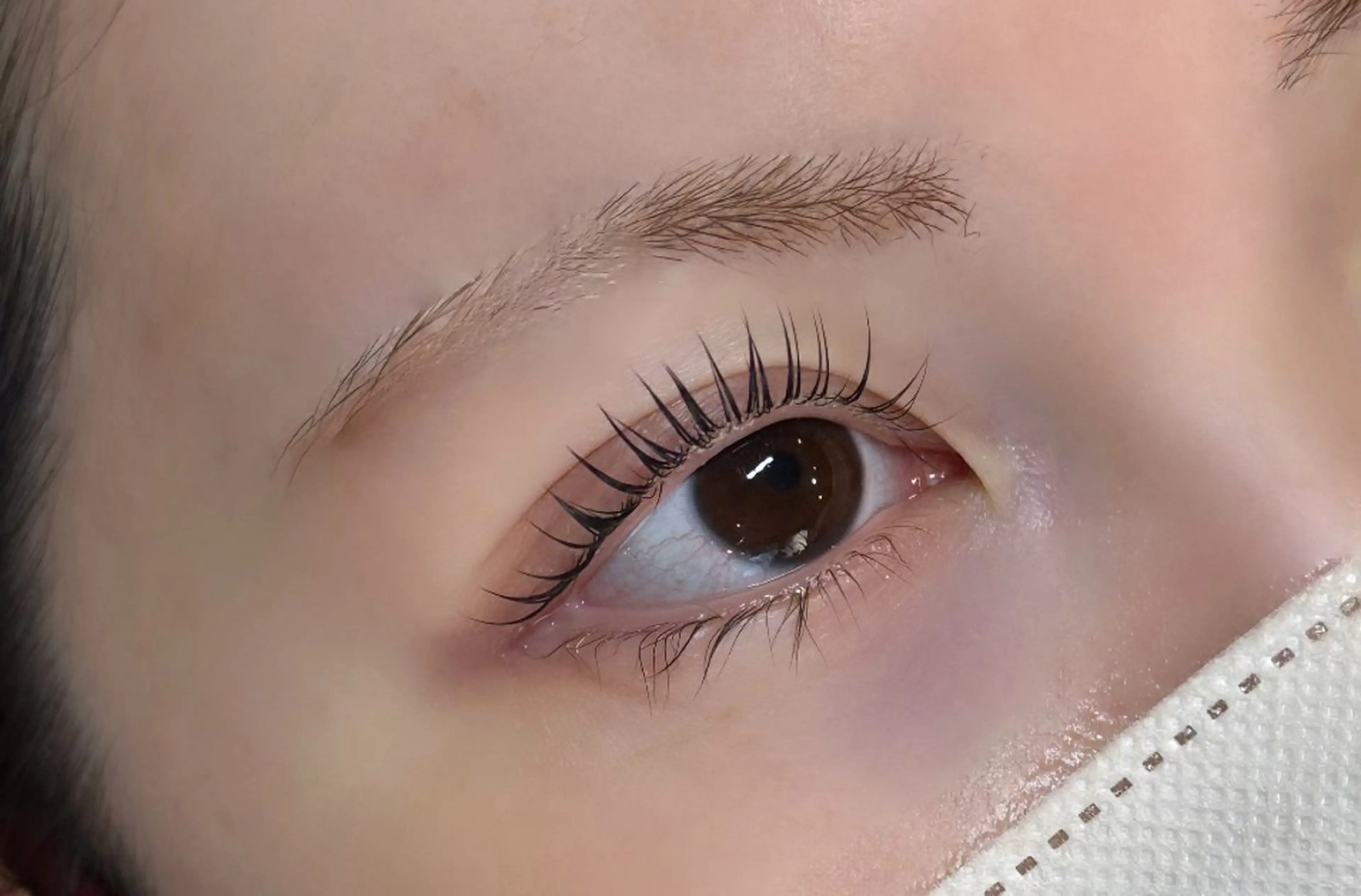 マツエク・マツパ Butterfly 鈴木のマツエク・マツパデザイン