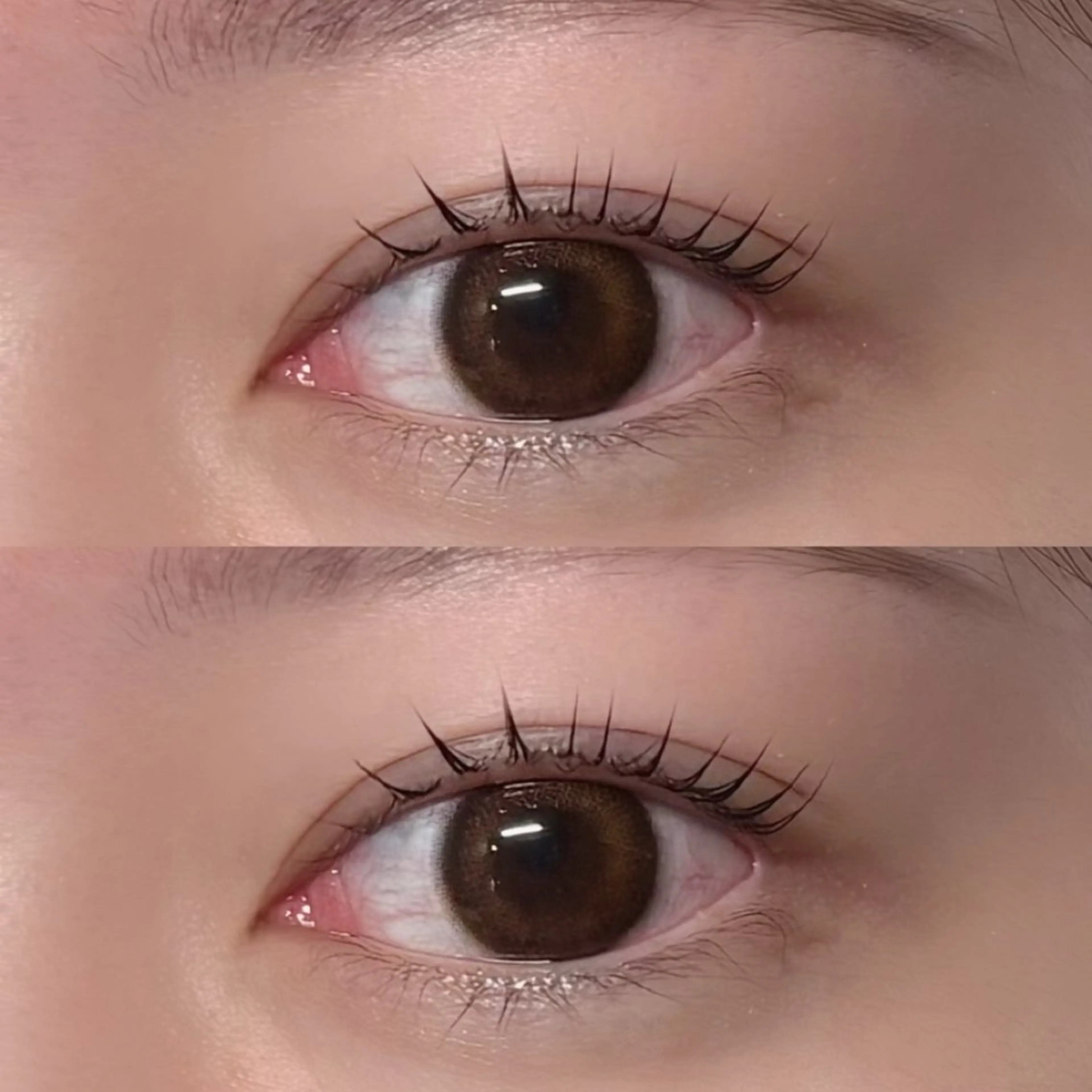 マツエク・マツパ 束感まつ毛 パリジェンヌラッシュリフト 🤍 Rico 🤍のマツエク・マツパデザイン