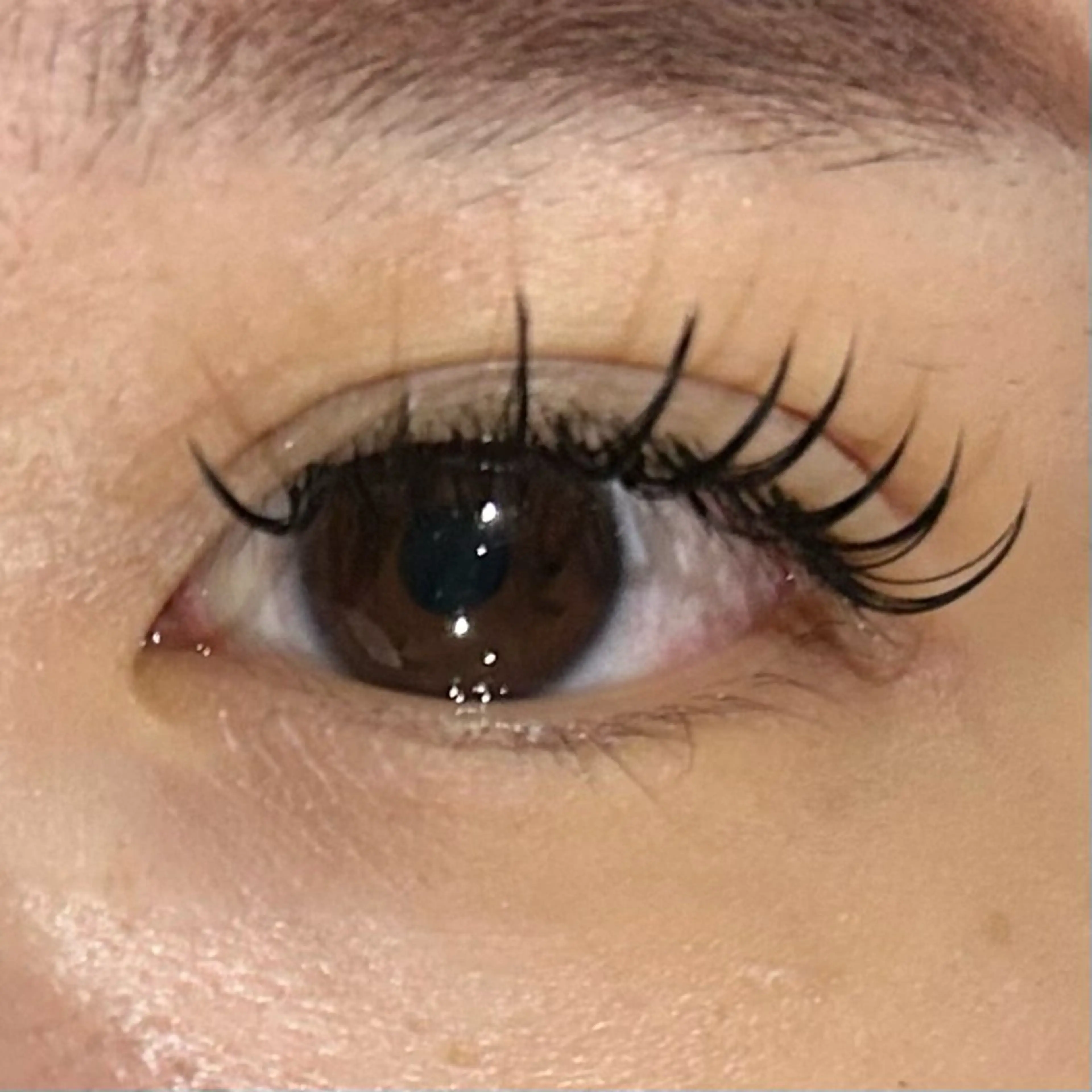 マツエク・マツパ マツエク soposilma 🧸今季OPENのマツエク・マツパデザイン