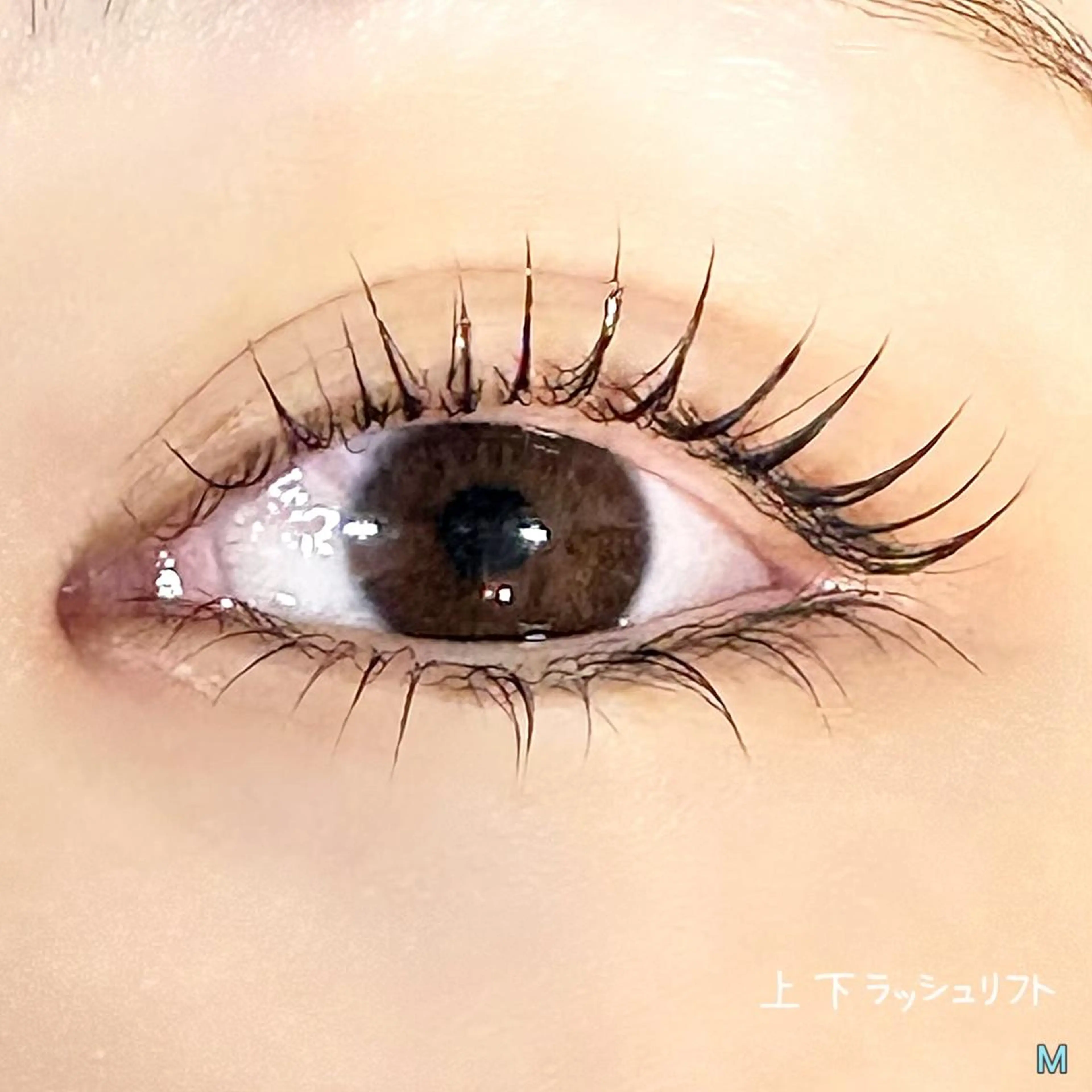 マツエク・マツパ Natural Okawaのマツエク・マツパデザイン