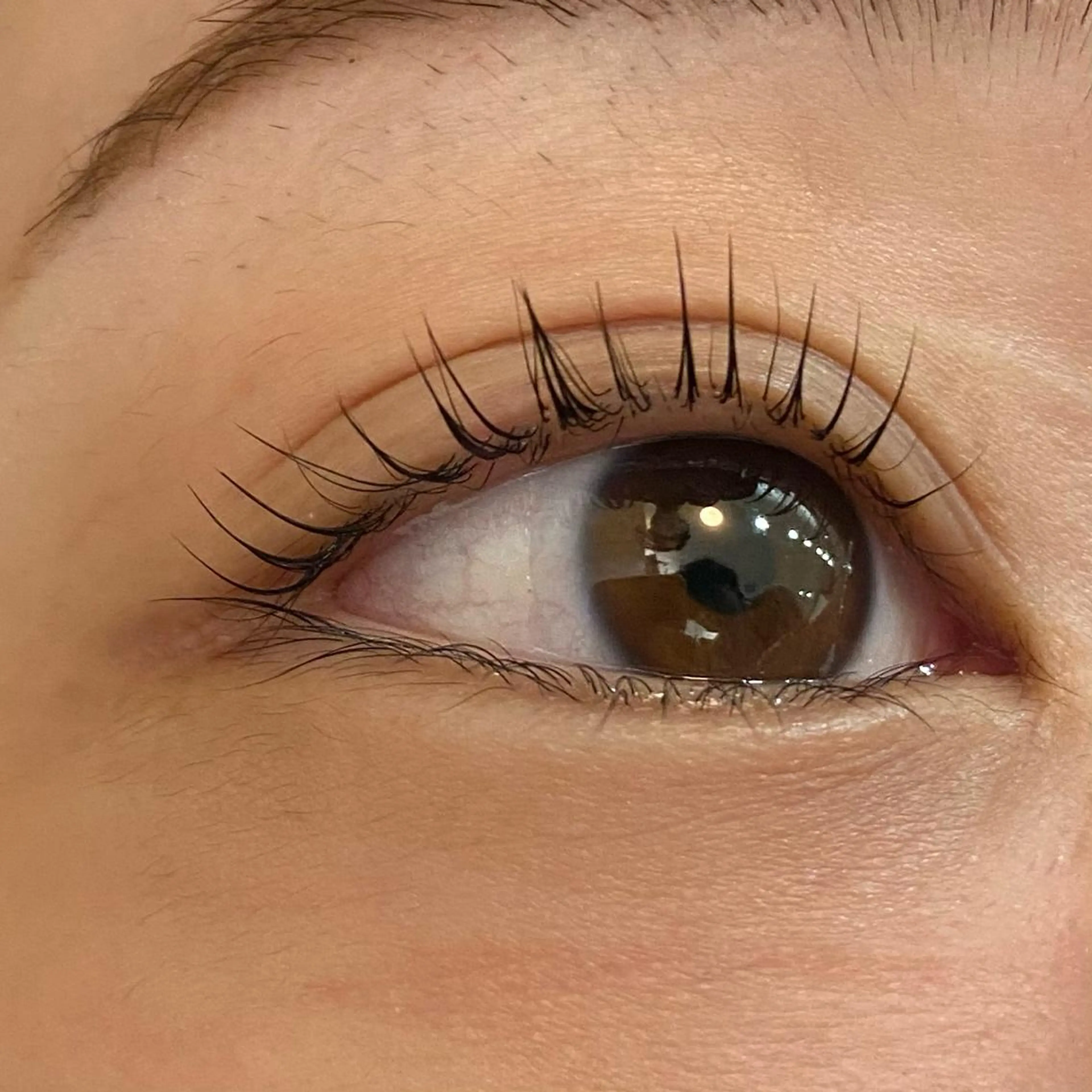 マツエク・マツパ ノンダメージ 🥑mikubanのヘアスタイル