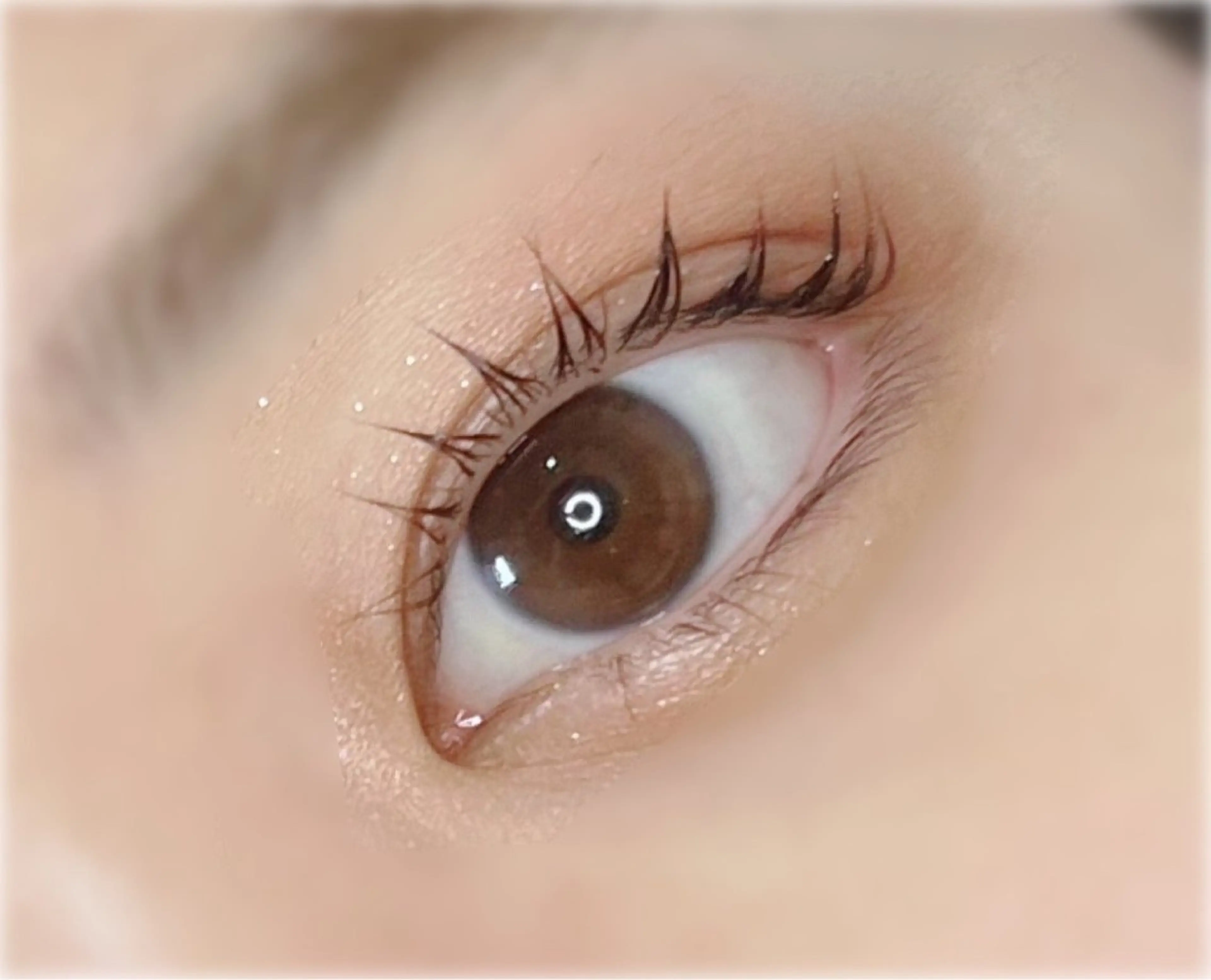 マツエク・マツパ マツパ rEINEまつ毛パーマ（カール）所属・与那原東浜rEINE まつ毛パーマのマツエク・マツパデザイン