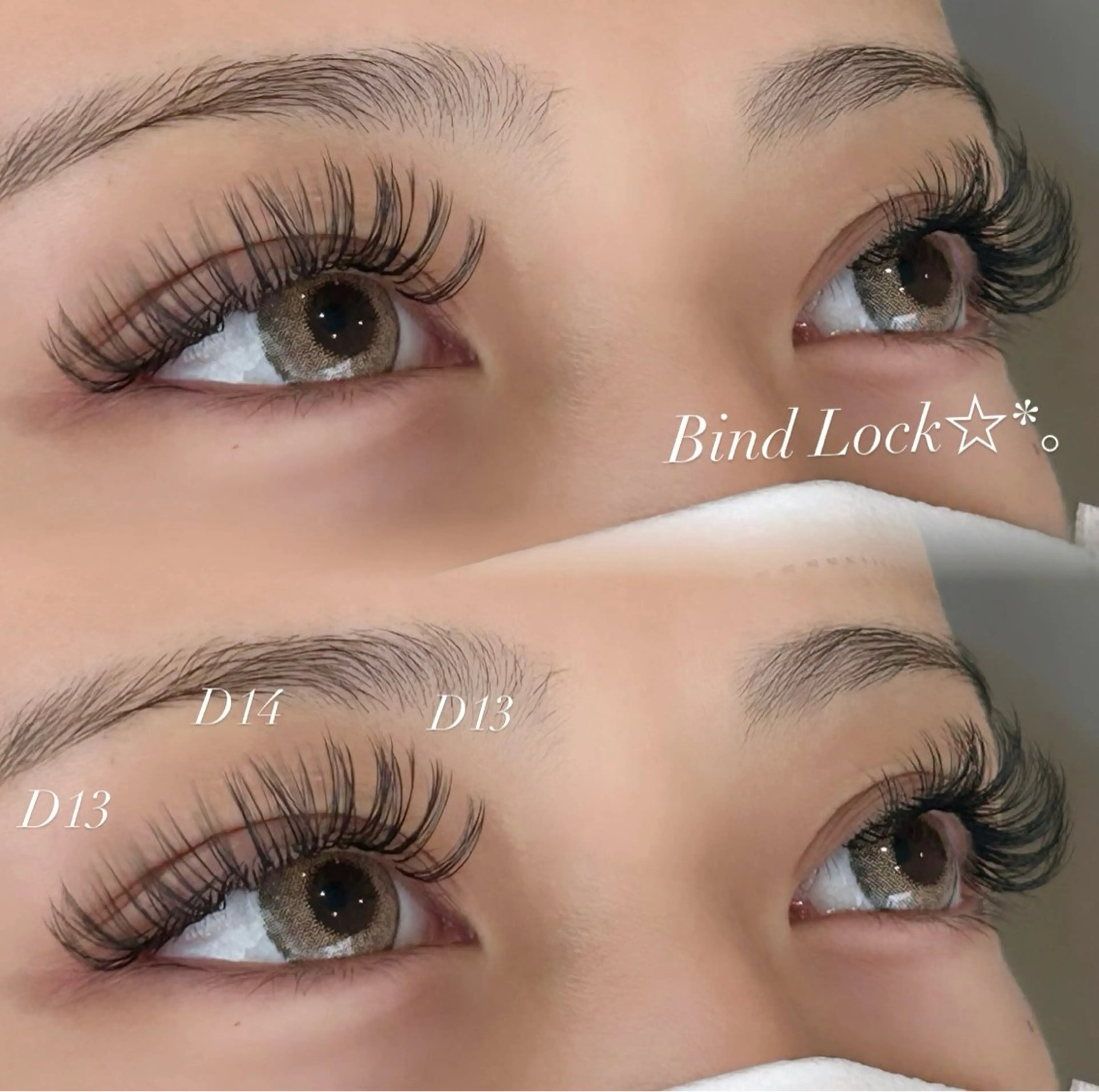 【オフ別途】🎀バインドロックorダブルフラットラッシュ120束🎀の写真