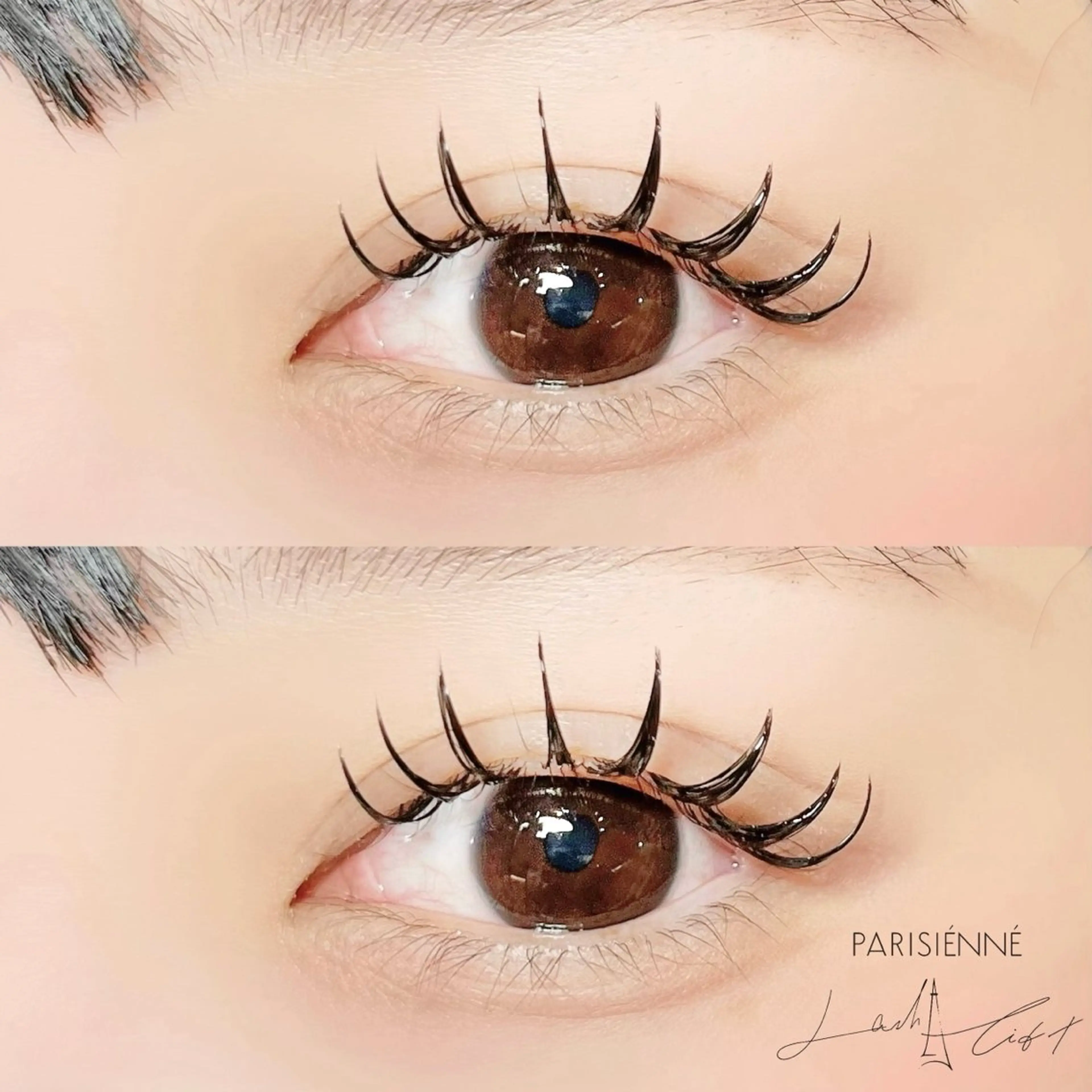 ãããšã¯ã»ããã Cã«ãŒã« æäººåŒ sola: neoliveçç°ã®ãããšã¯ã»ããããã¶ã€ã³