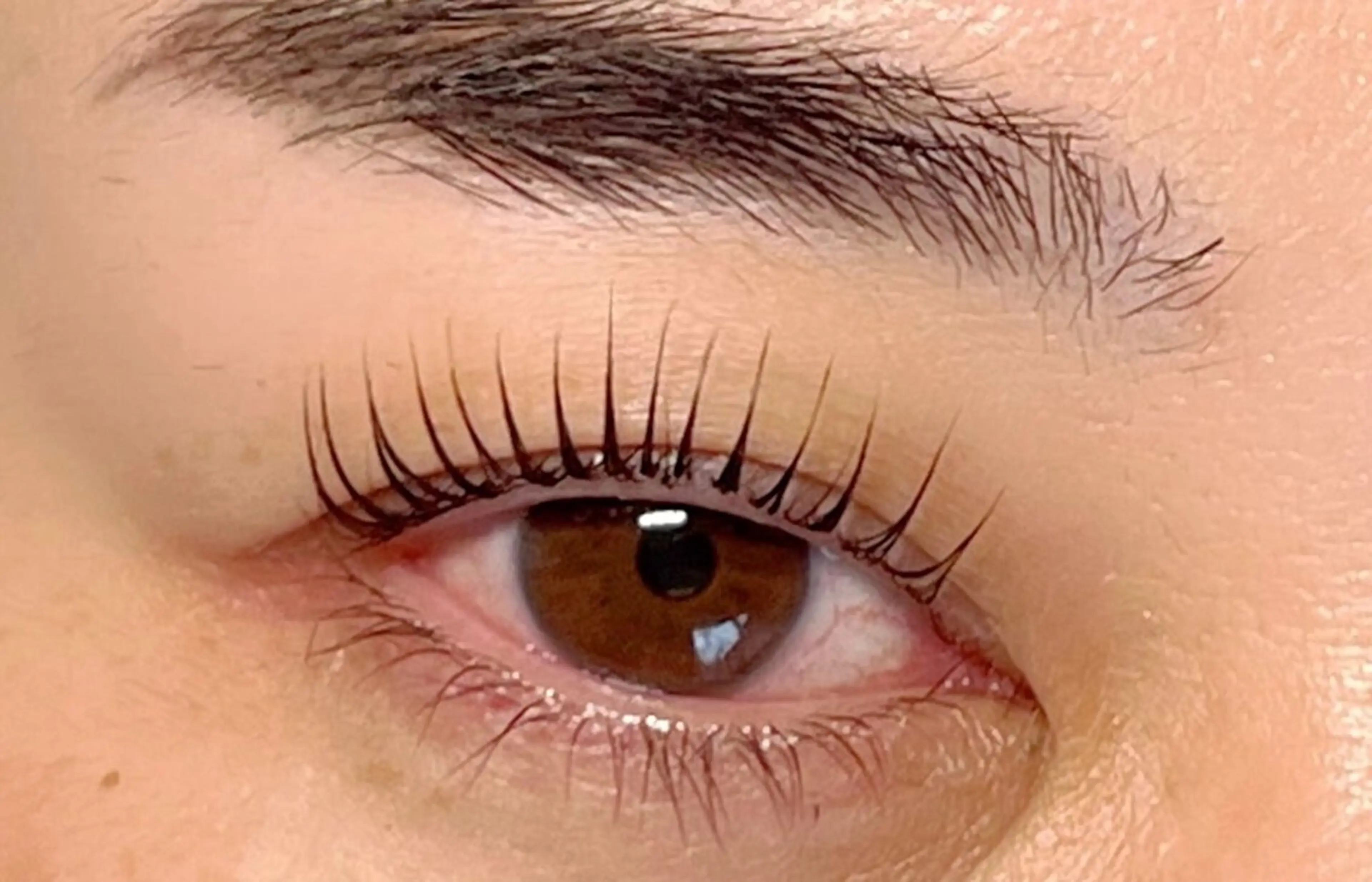 ラッシュリフト🌼👀の写真