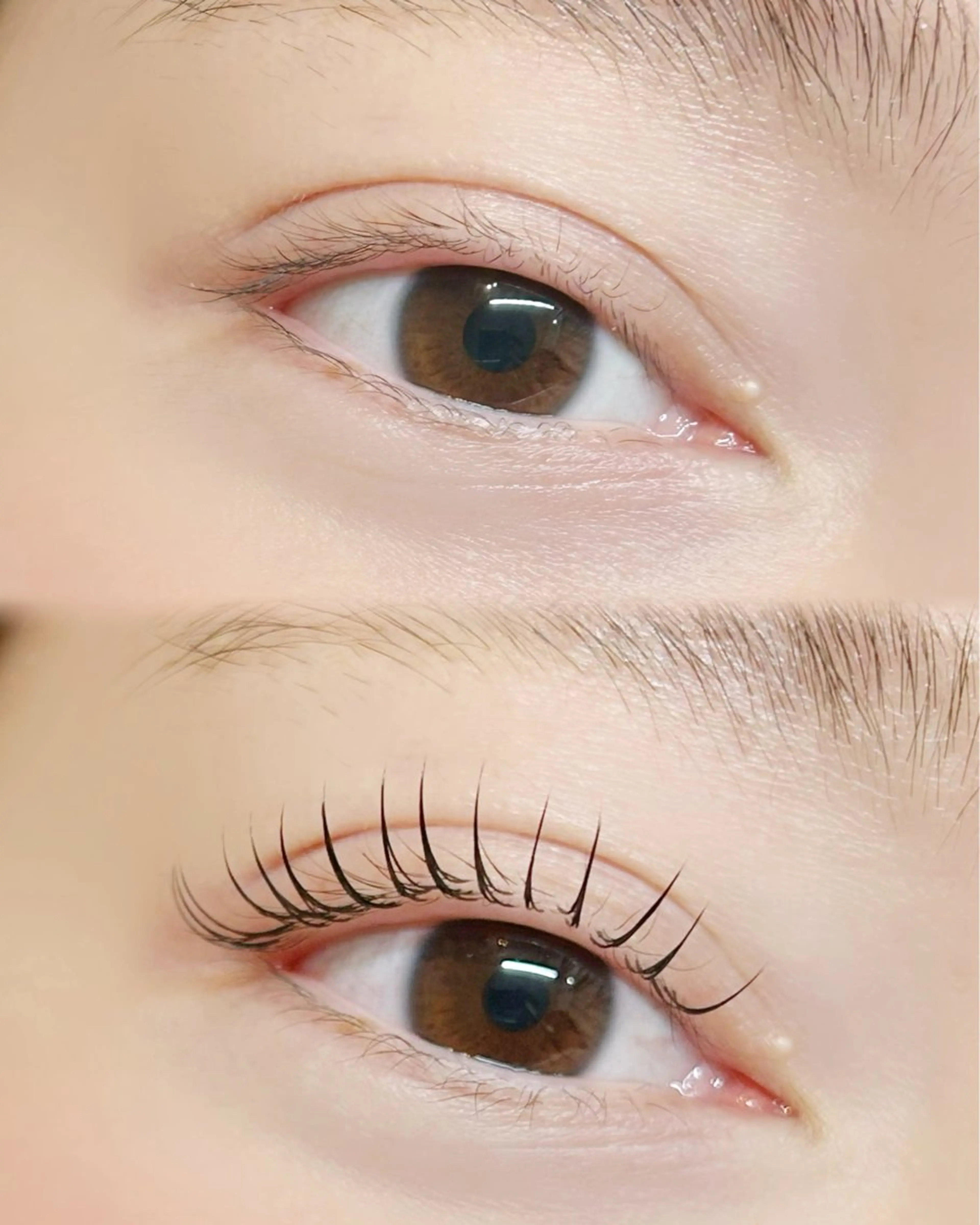 マツエク・マツパ 束感まつ毛 Cカール キュート フラットラッシュ マツエク 長屋 憲枝のマツエク・マツパデザイン