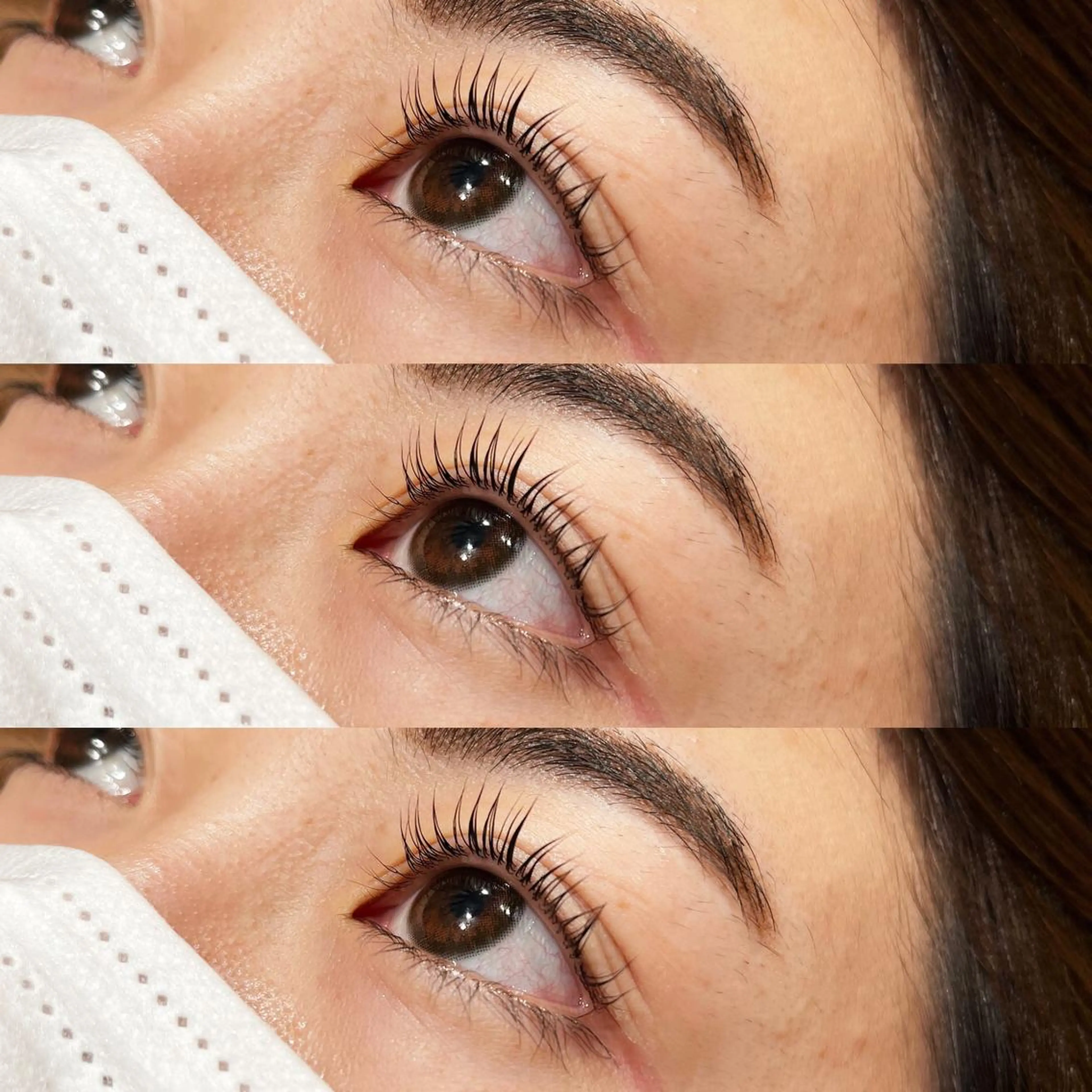 マツエク・マツパ zestKalon 🔗IBUのヘアスタイル