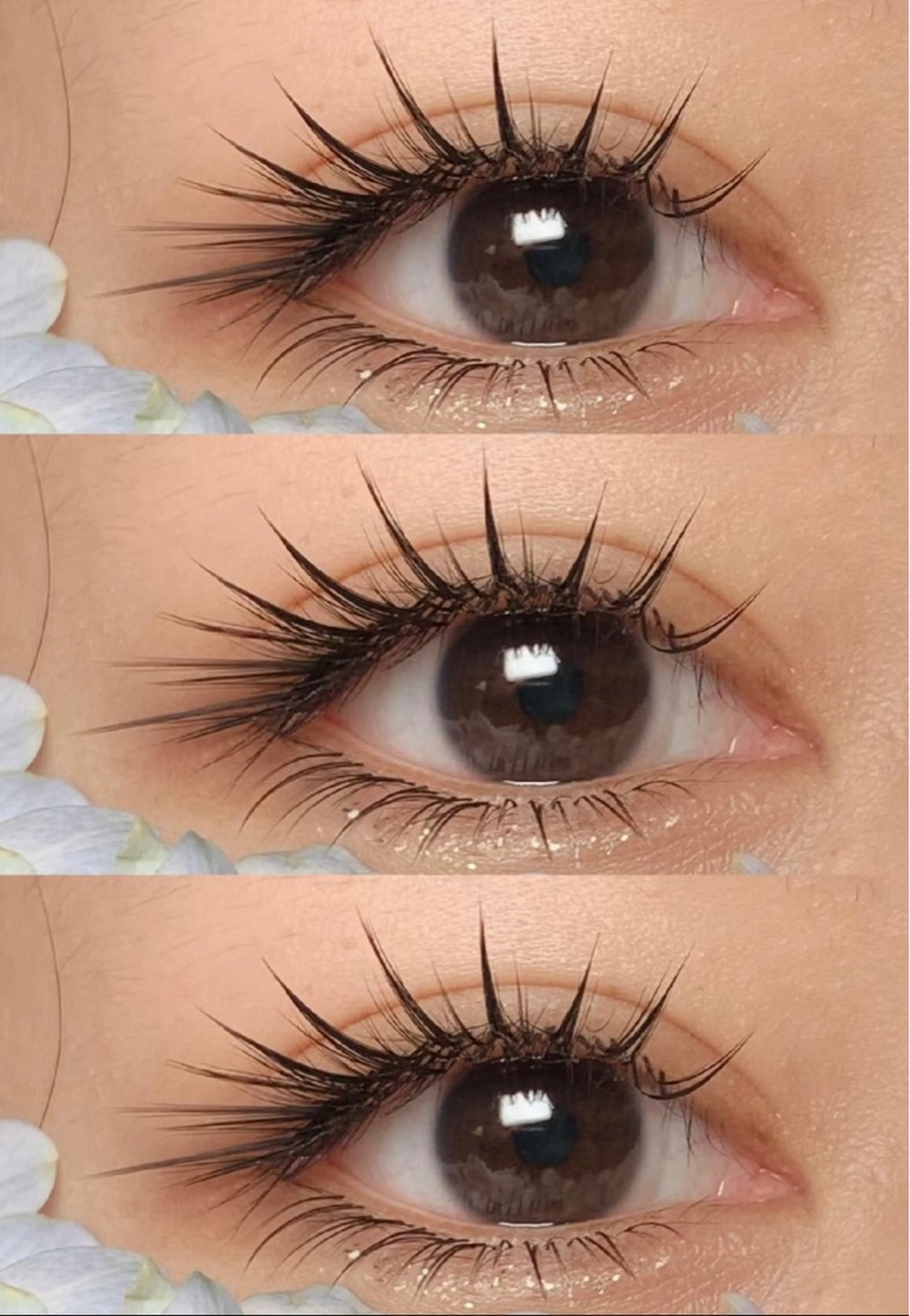 猫系ワンホンボリュームラッシュナチュラルの写真