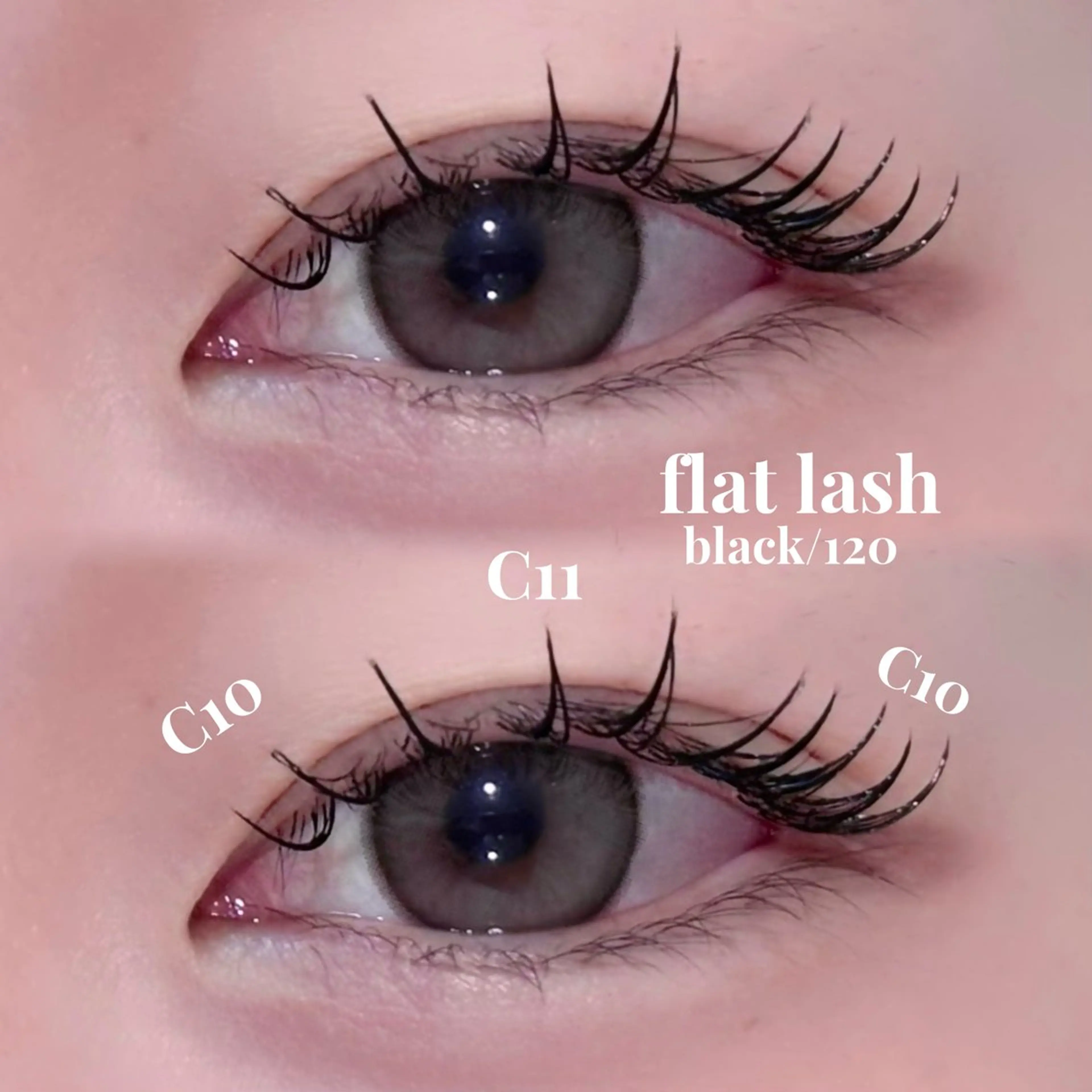 マツエク・マツパ ナチュラル miyu / sofa吉祥寺のマツエク・マツパデザイン