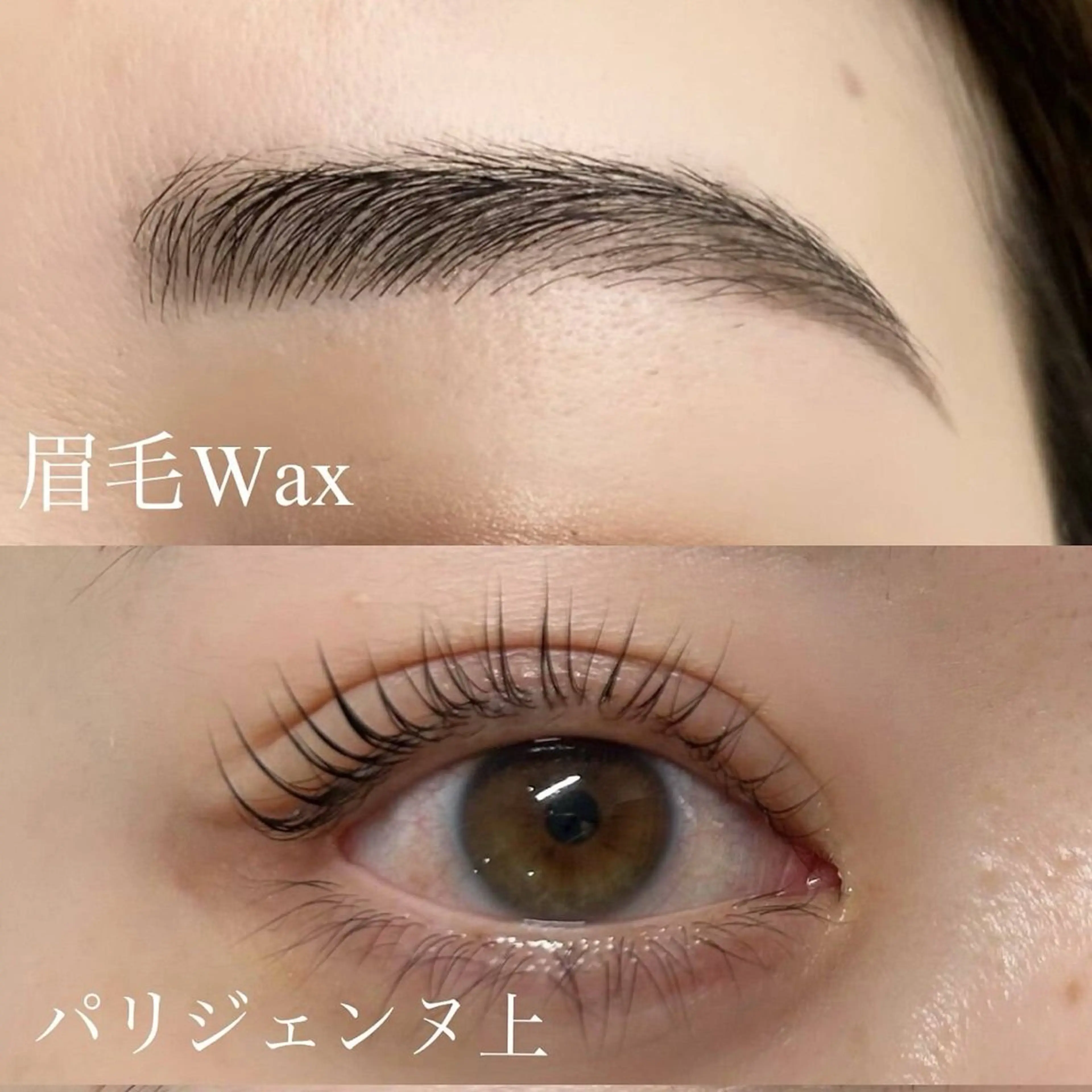 【練習モデル】１１月限定‼️🍰眉毛wax＆パーマ🍰まつぱorパリジェンヌ❣️補足説明必ずお読み下さいの写真