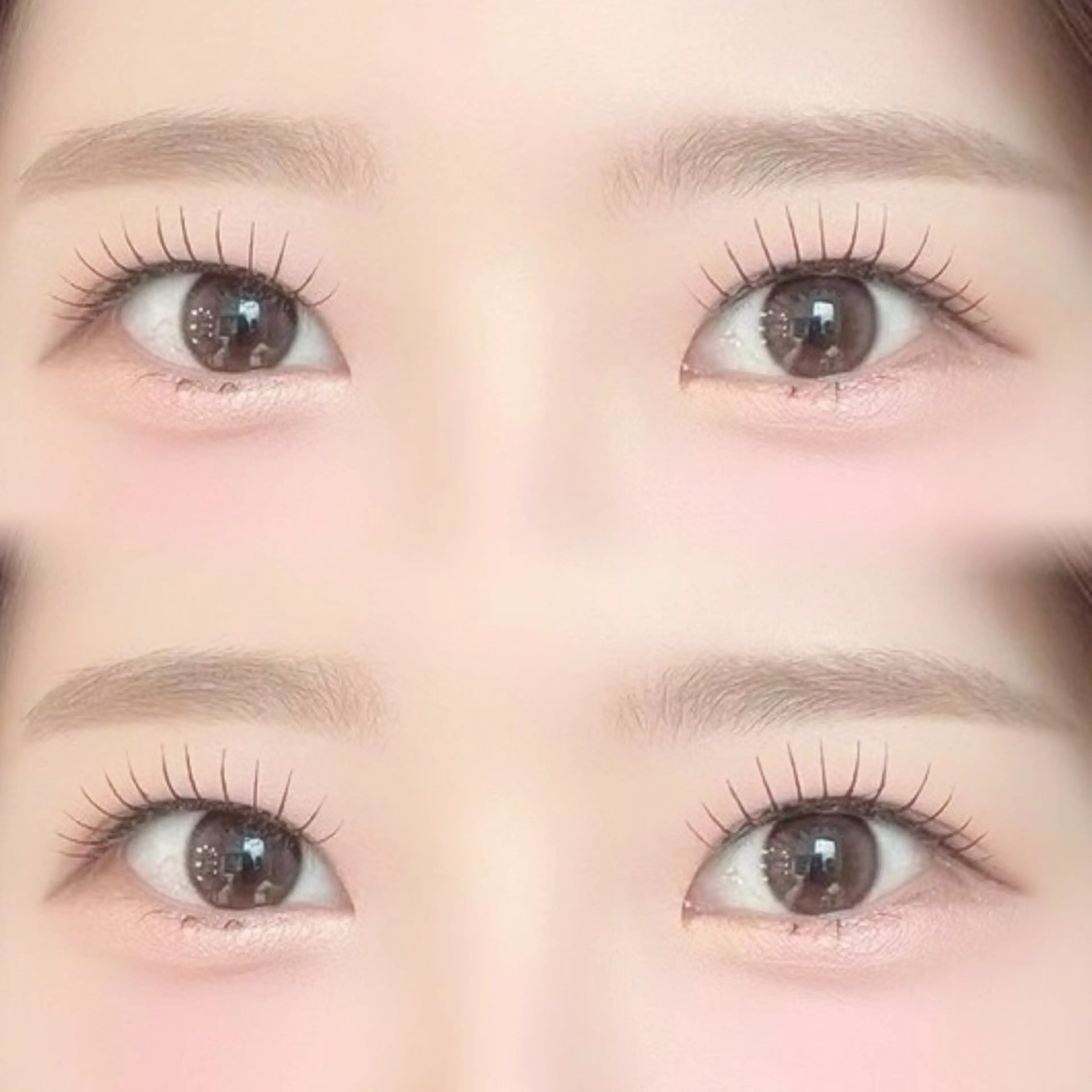 ãããšã¯ã»ããã Ââïžïž ð«ð¢ð§ð€ðã®ãããšã¯ã»ããããã¶ã€ã³