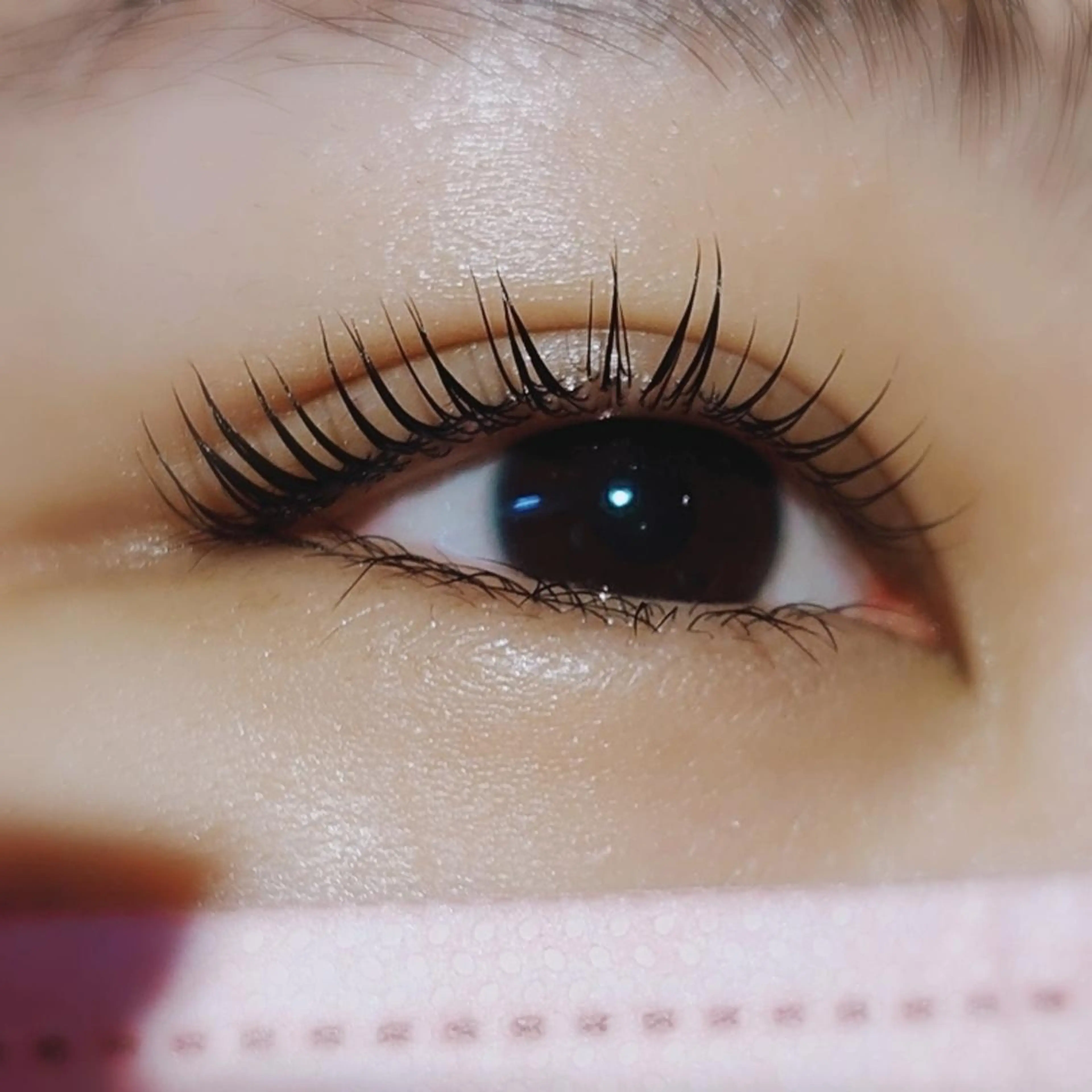 まつげパーマ！ （平日限定）！＋50円で1日キープコーティングの写真