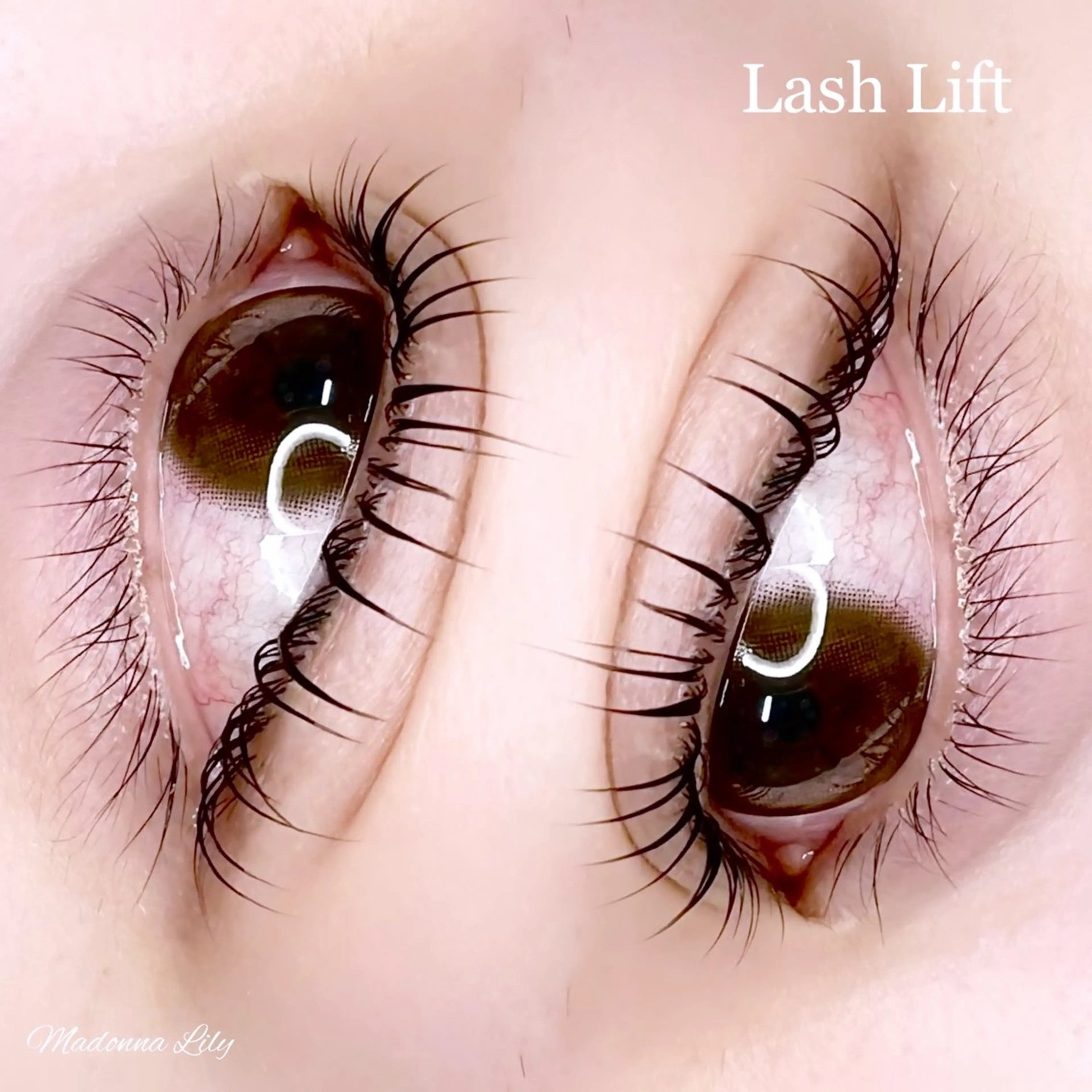 マツエク・マツパ Madonna Lilyのマツエク・マツパデザイン