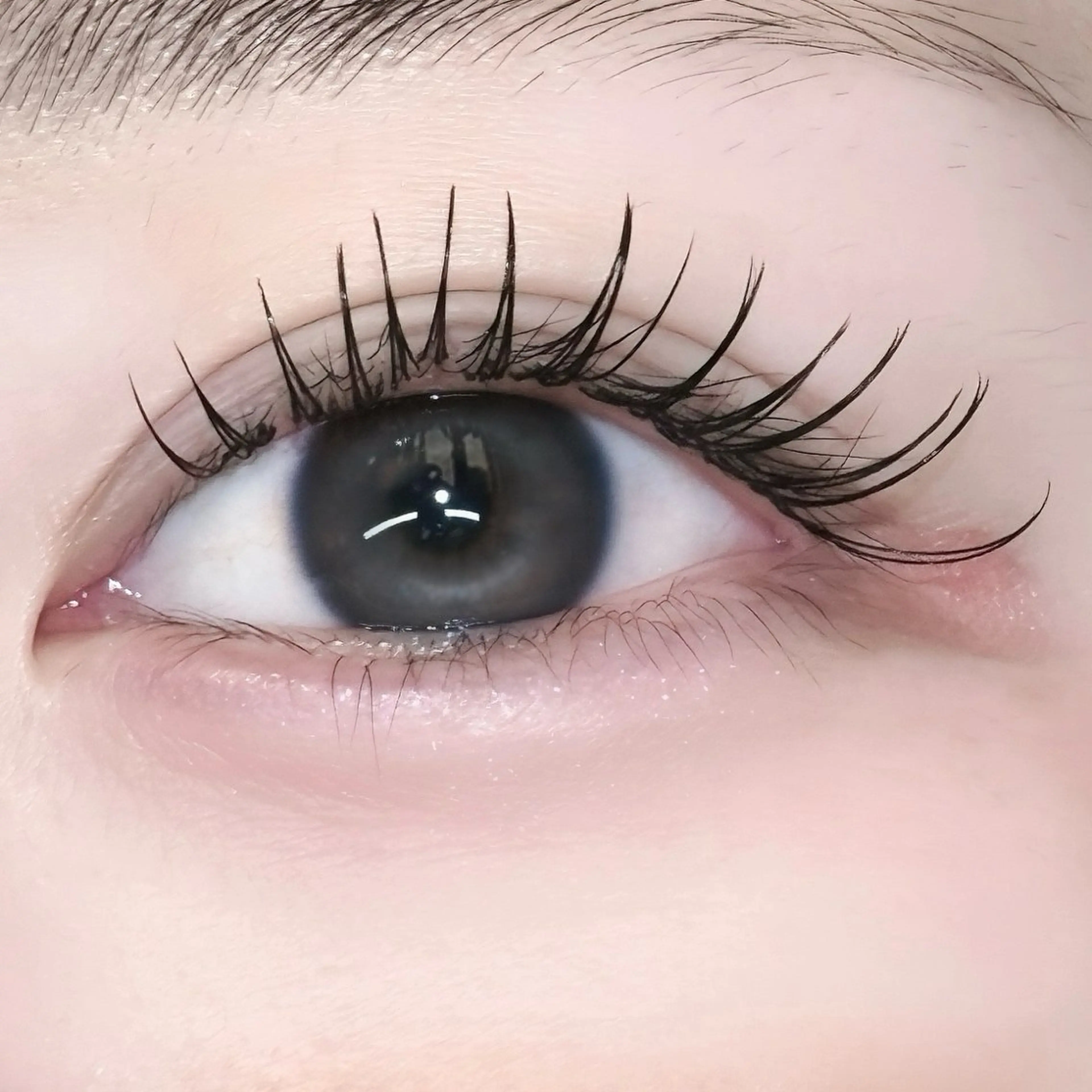 2回目限定🎀フラットラッシュ100-120本🩵オフ、アイシャンプーこみ/現金支払いのみの写真