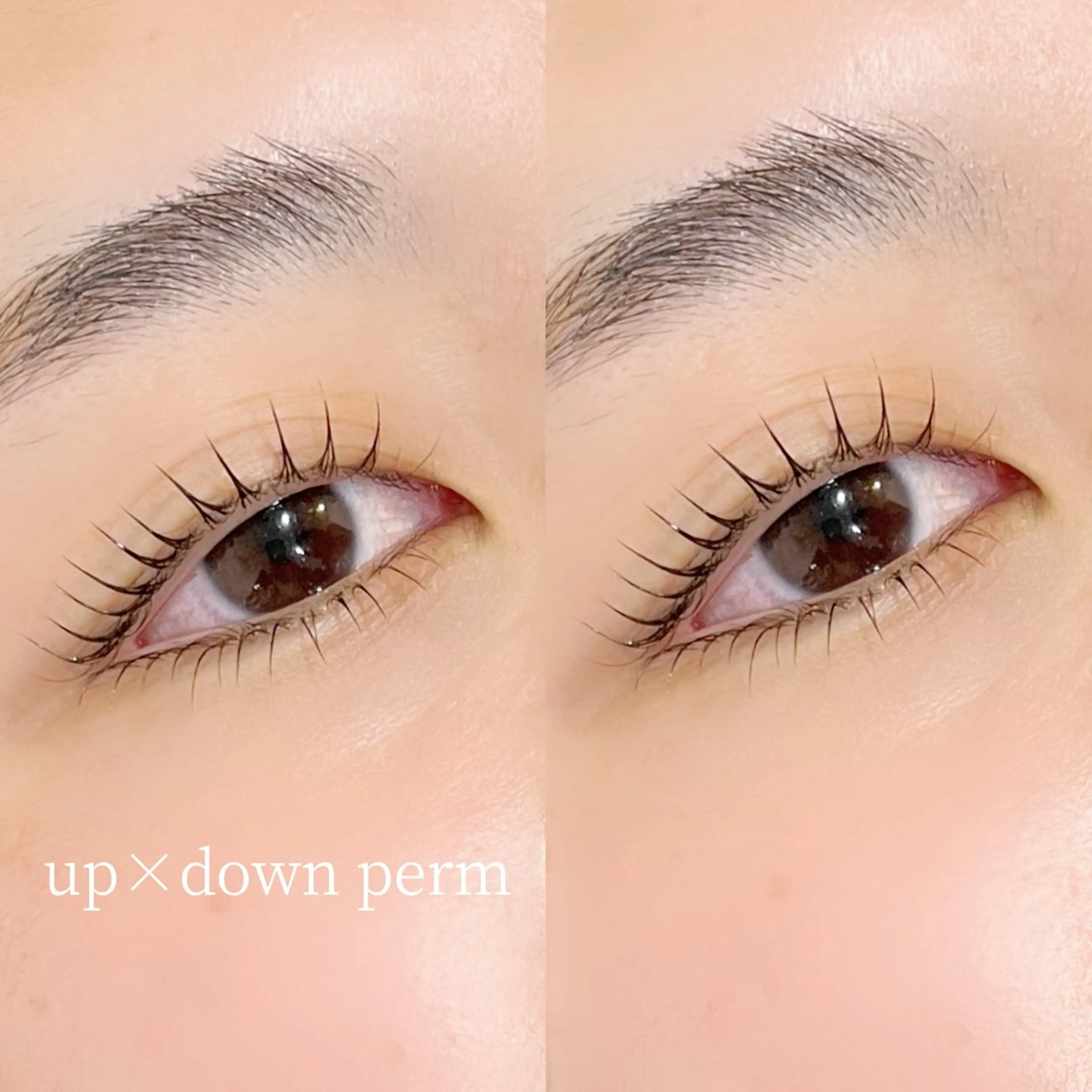 - ̗̀‼️限定価格‼️  ̖́-上下パーマ(似合わせラッシュリフト+400円)の写真