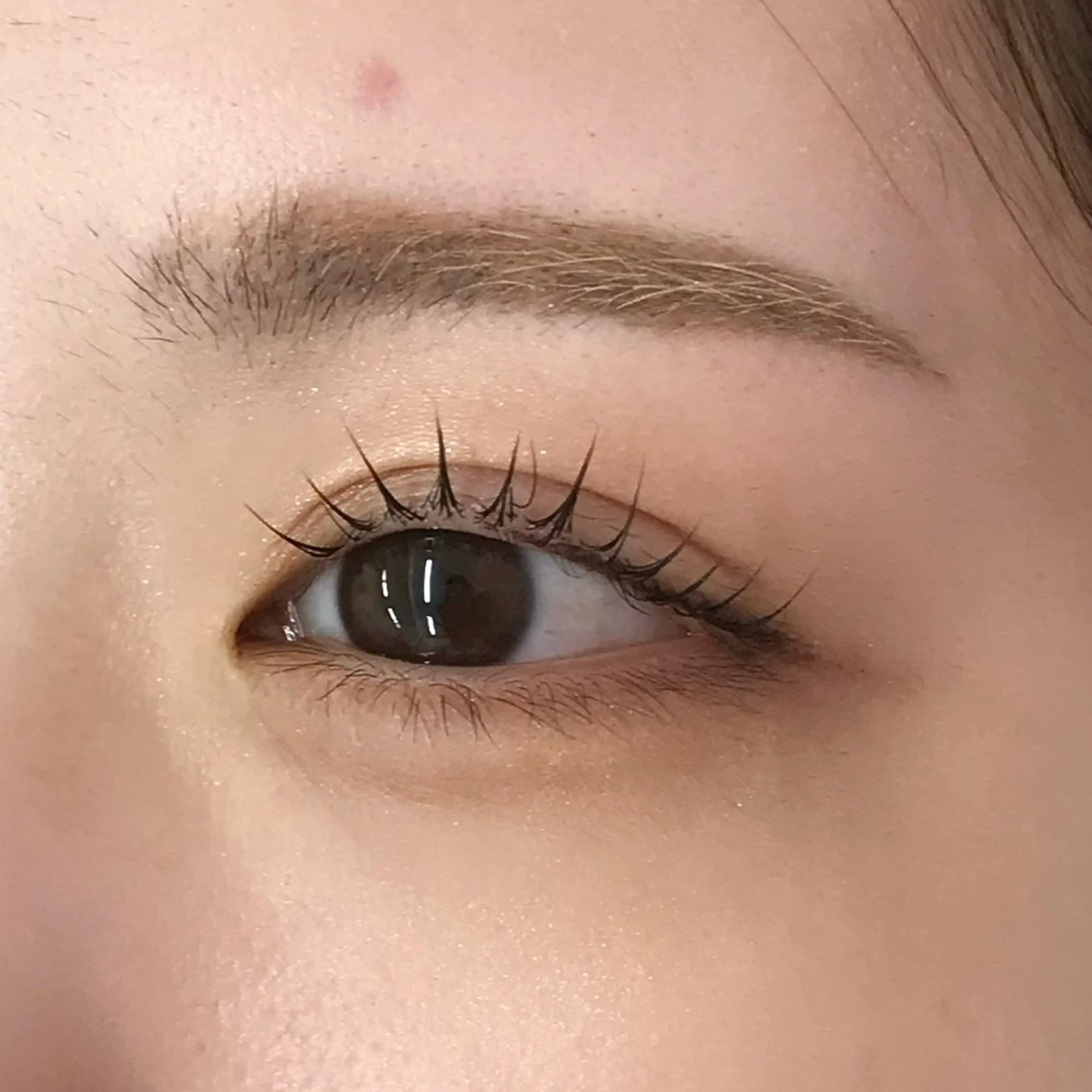 マツエク・マツパ uland yuzukiの眉毛・アイブロウイメージ