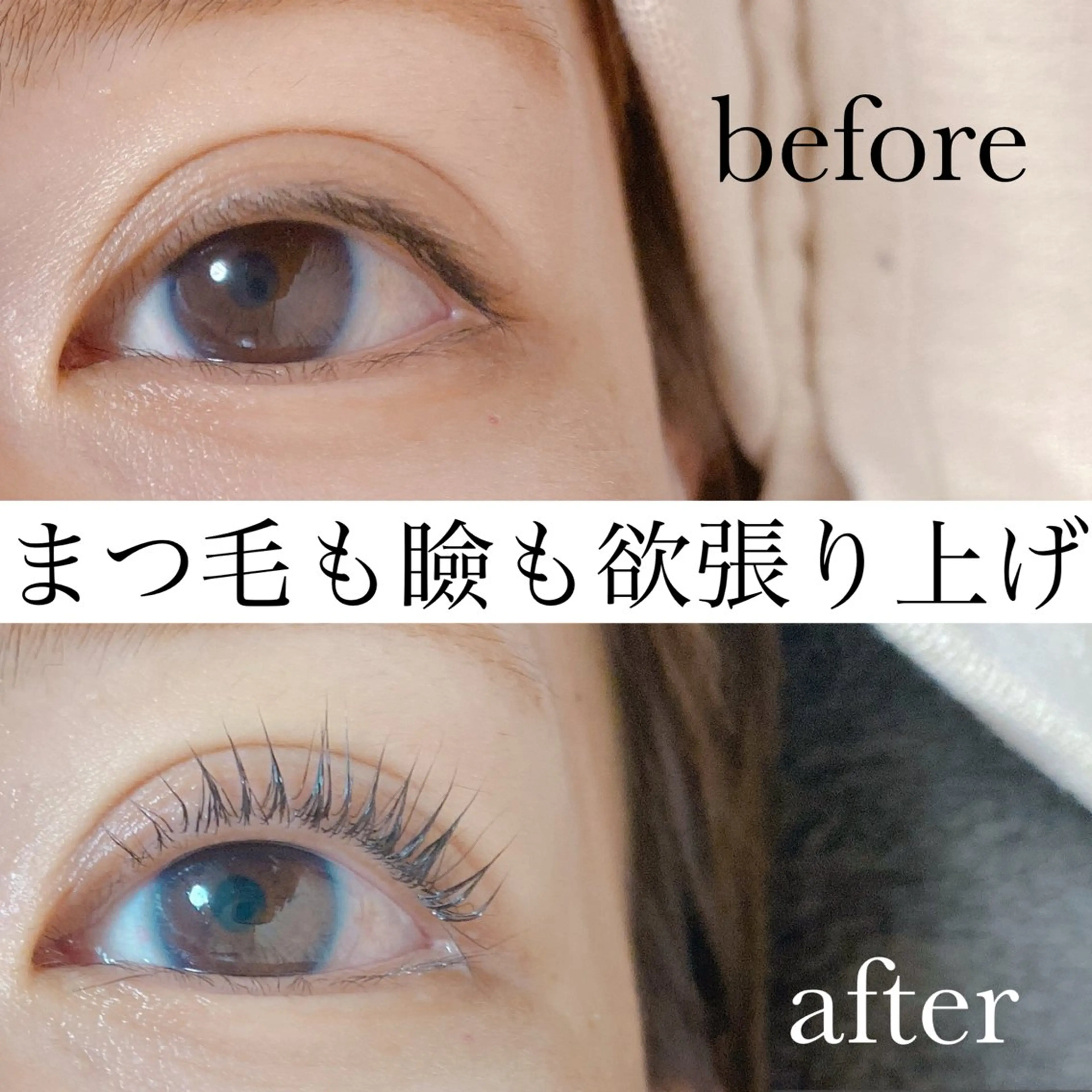 マツエク・マツパ 一重×まつ毛パーマ N ラッシュのマツエク・マツパデザイン